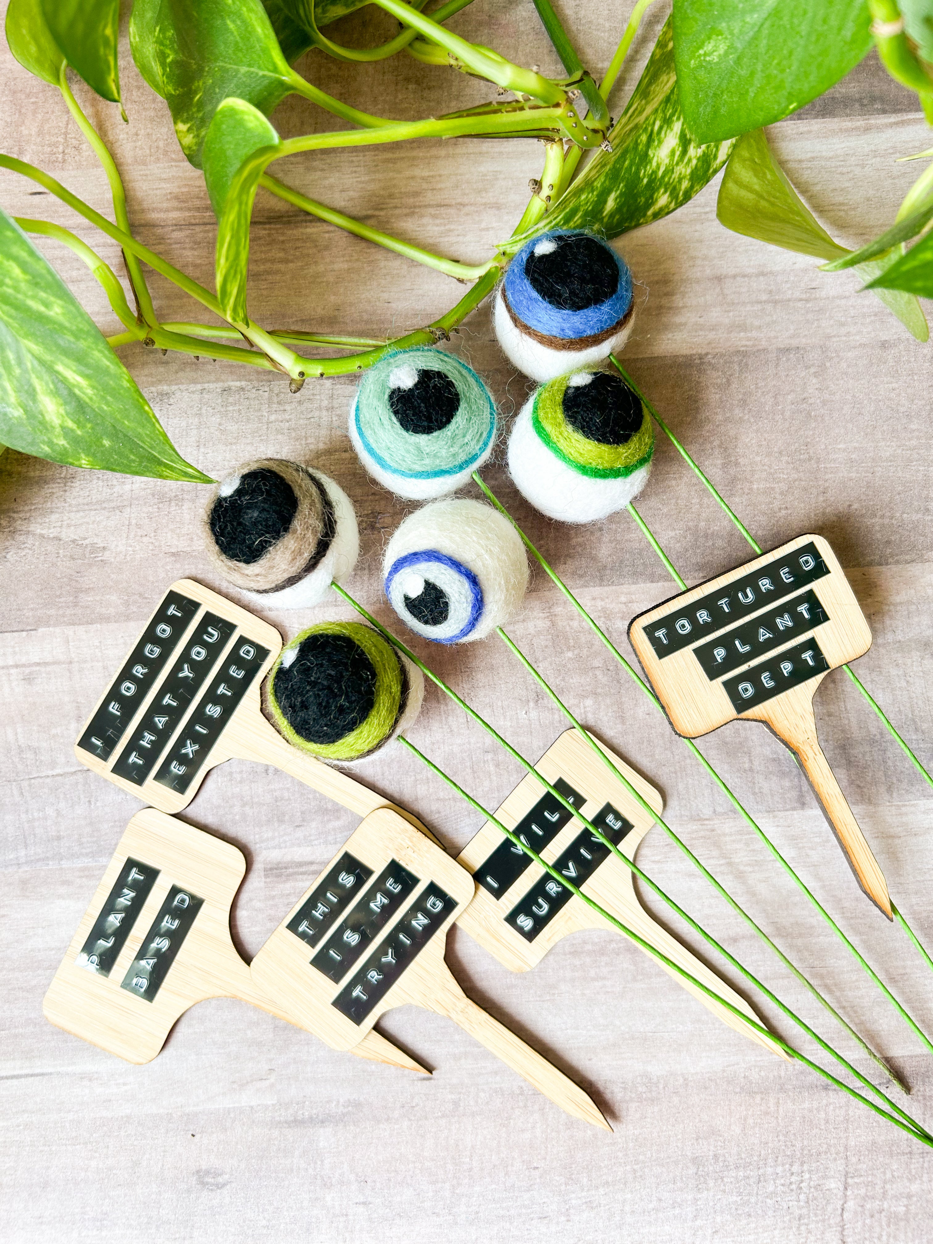 Plant Accessories – The Pink Macaroon