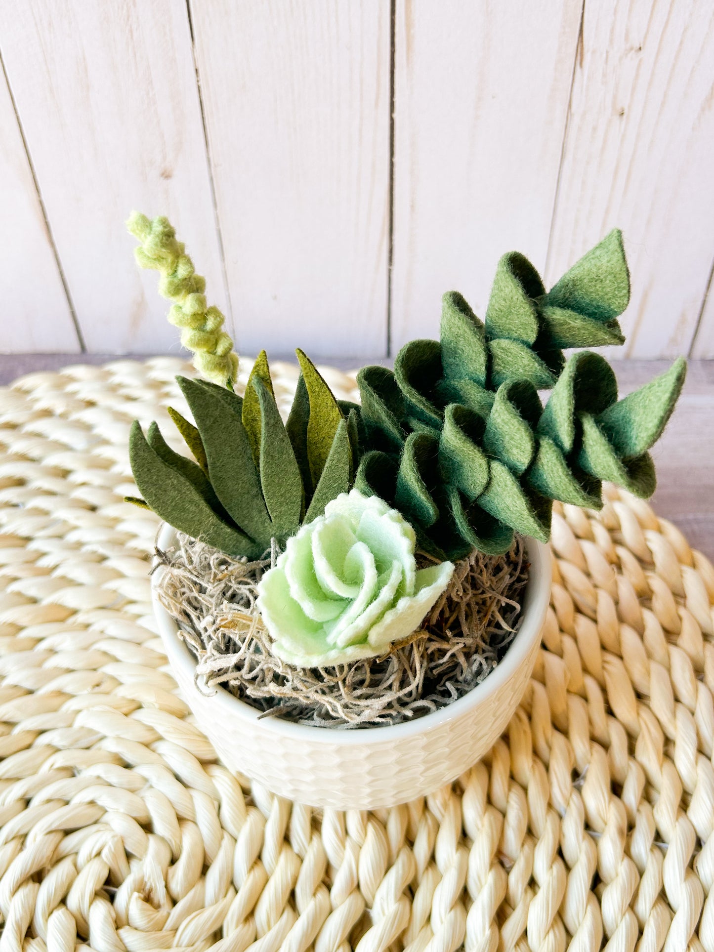 Mini Felt Succulent