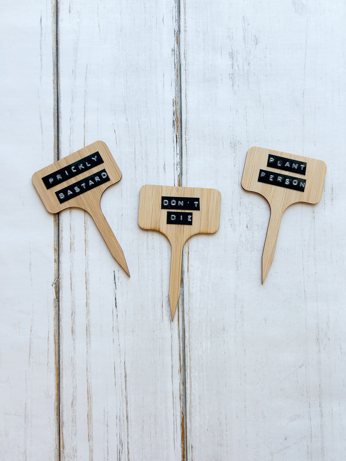 Sassy Plant Stakes