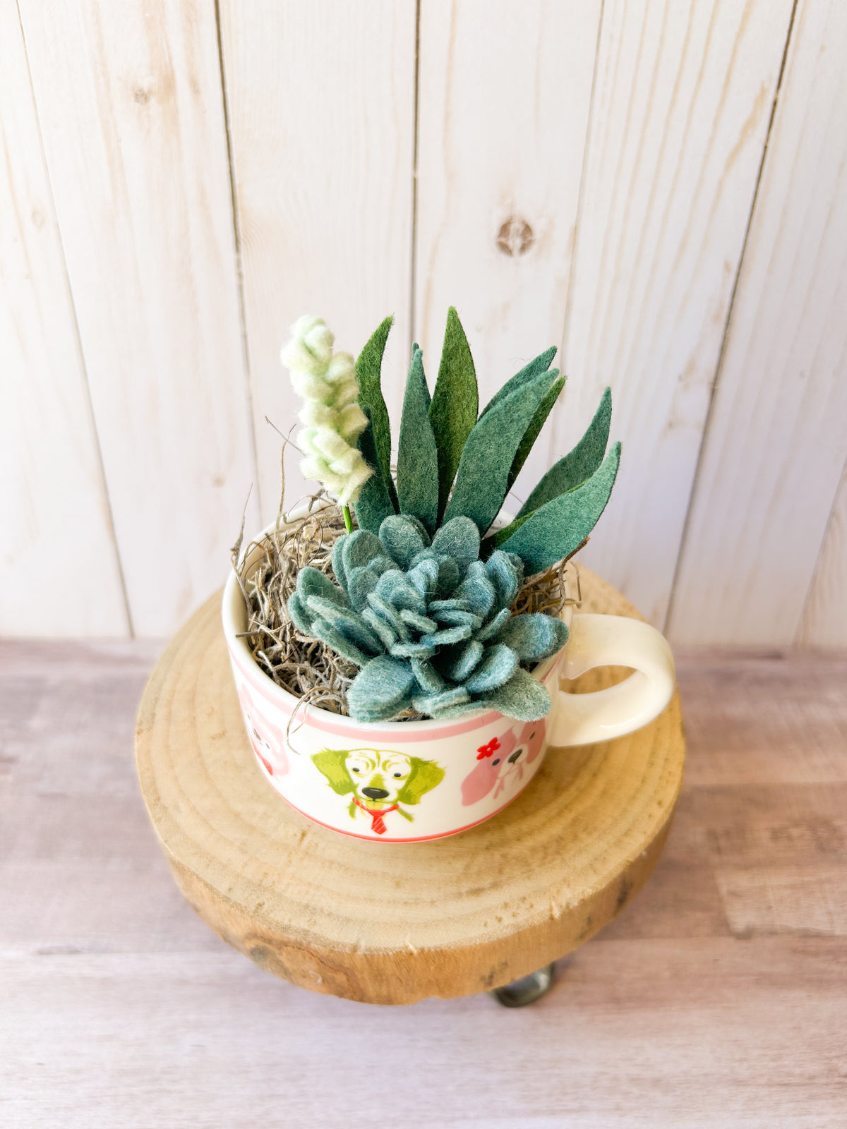 Felt Succulent