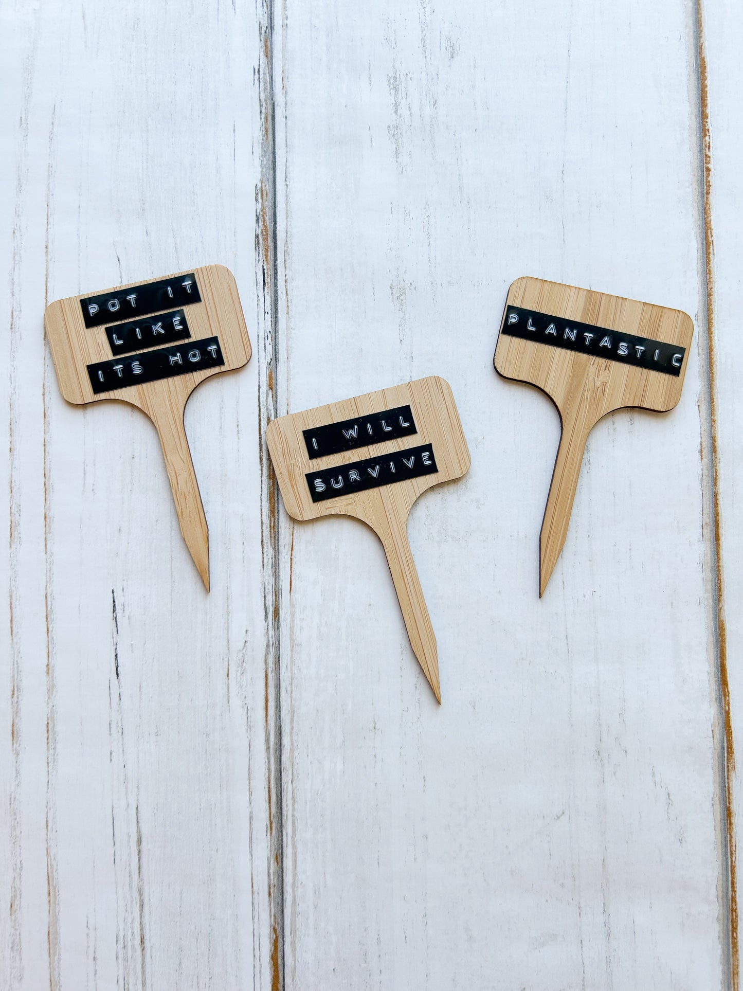 Plant Stakes