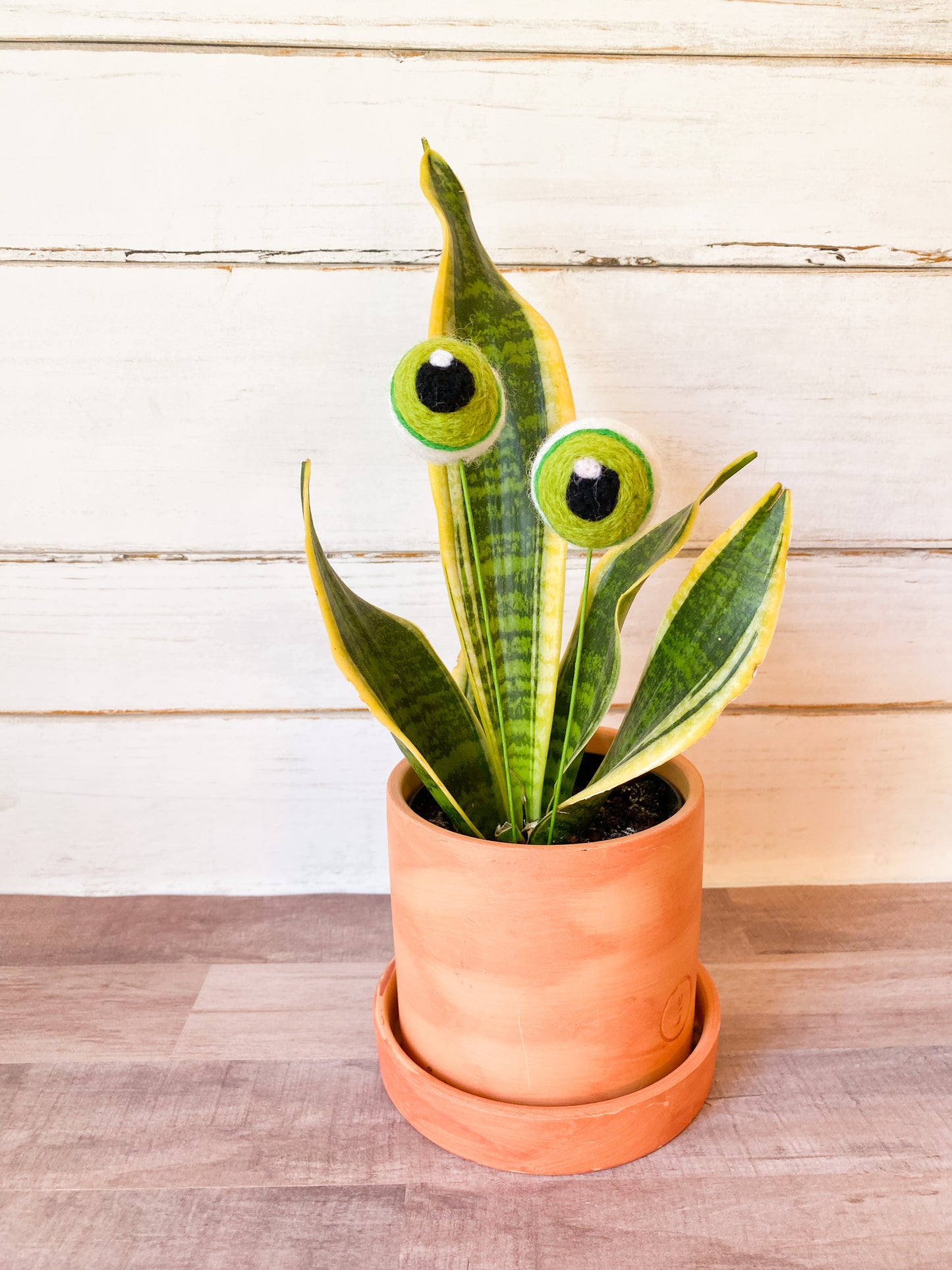 Green Plant Eyes