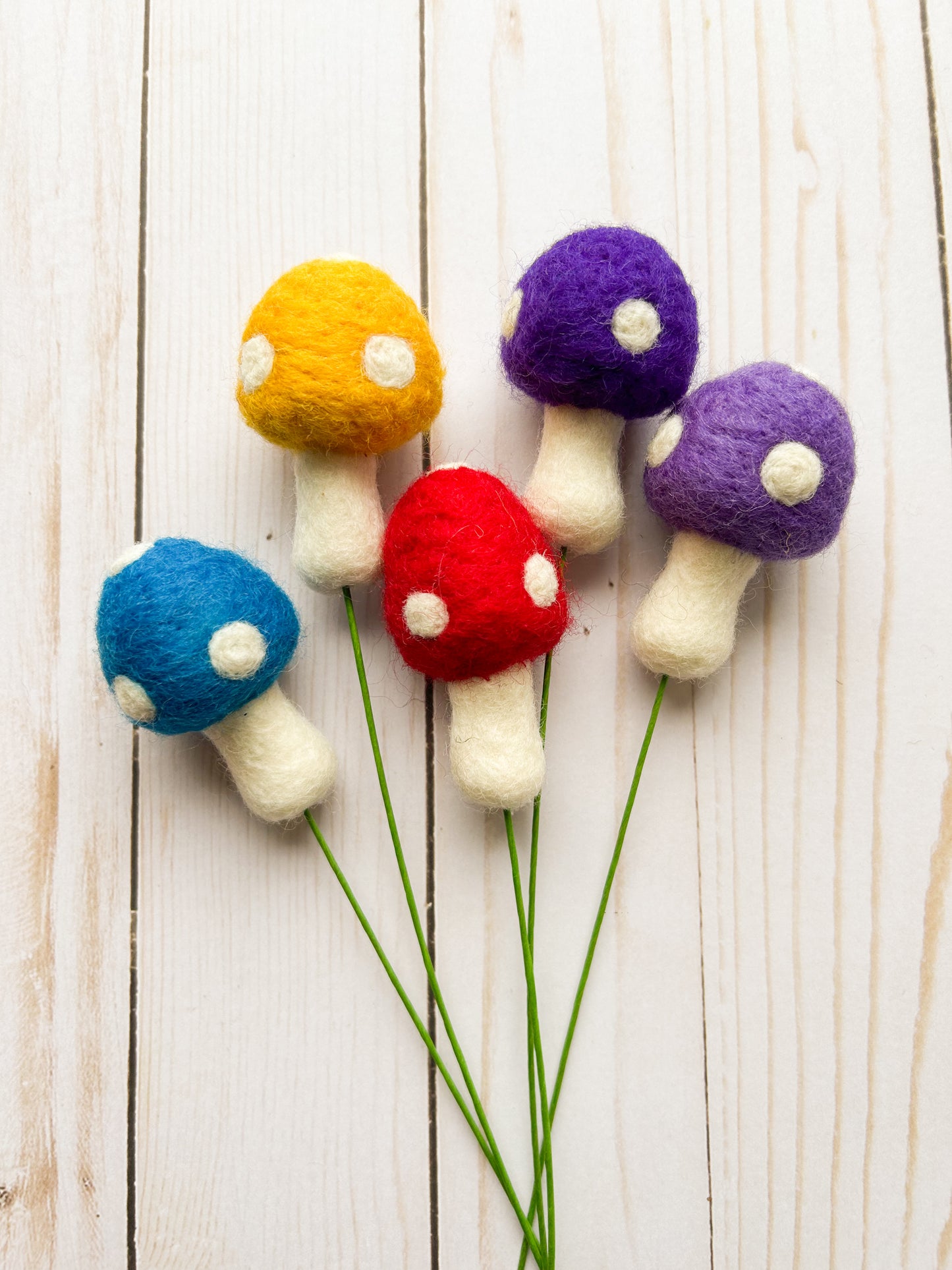 Mushroom Poms