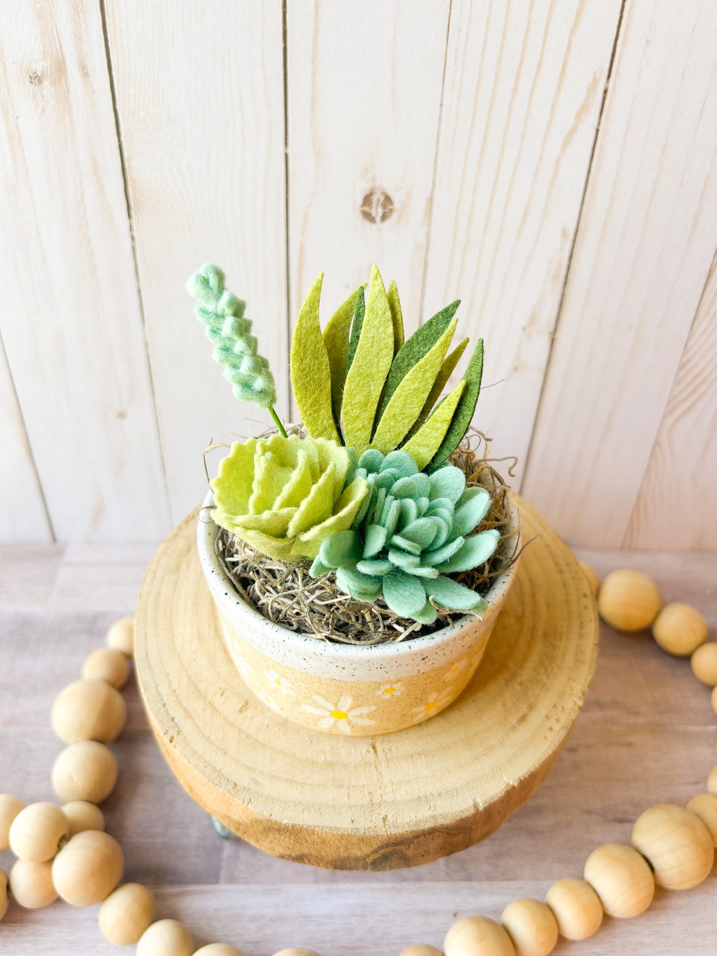 Mini Felt Succulent