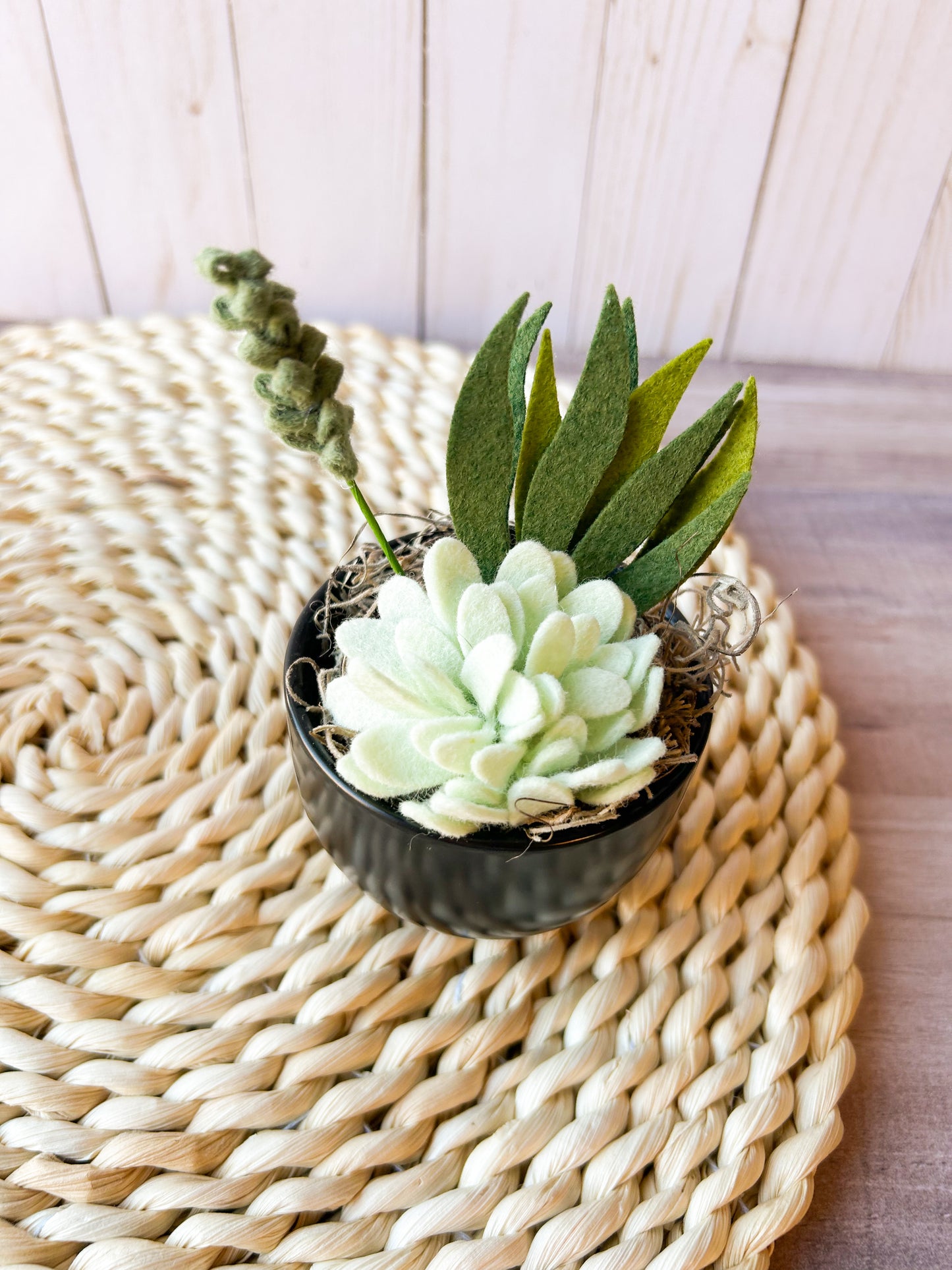 Mini Felt Succulent