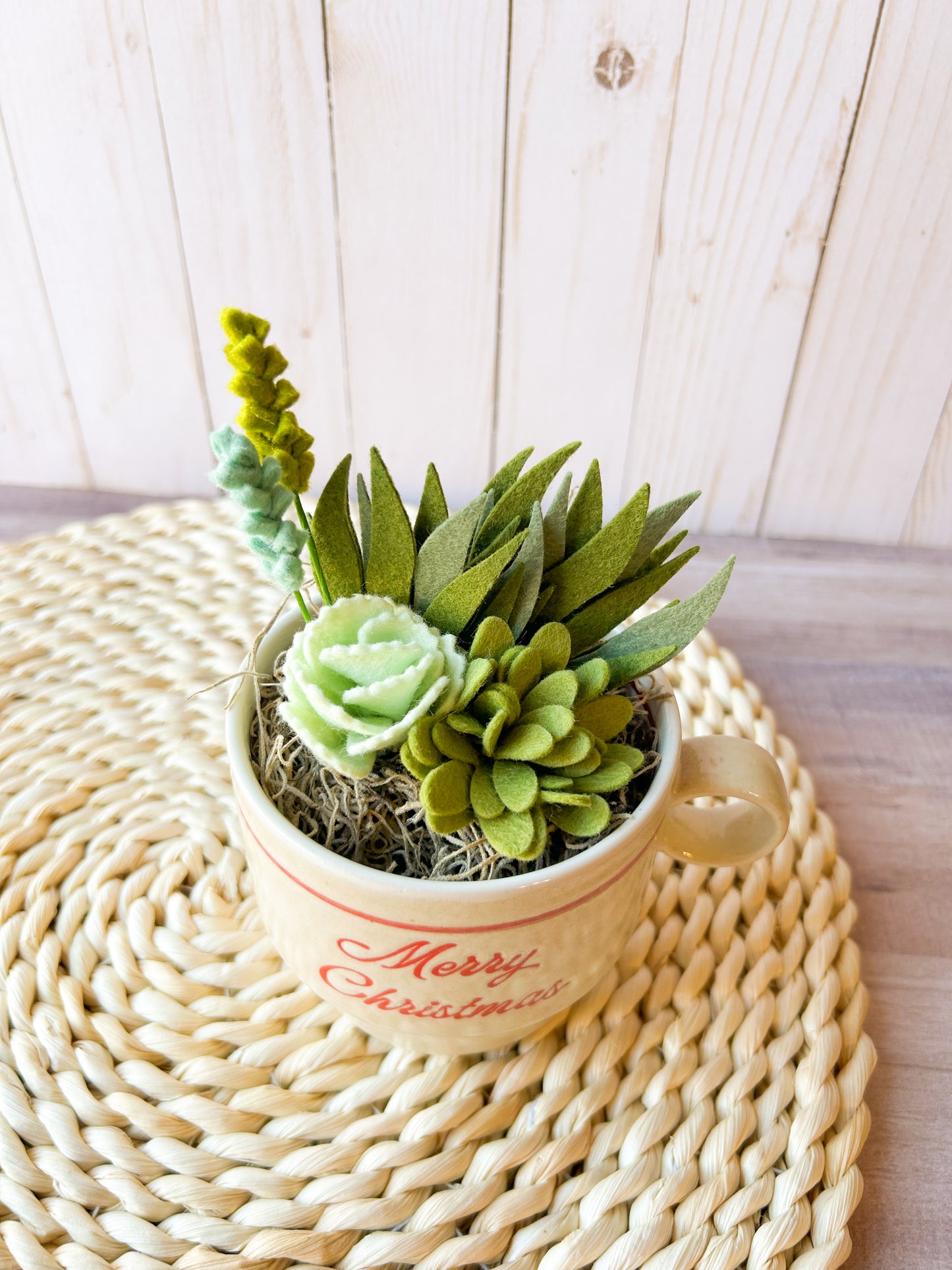Holiday Felt Succulent
