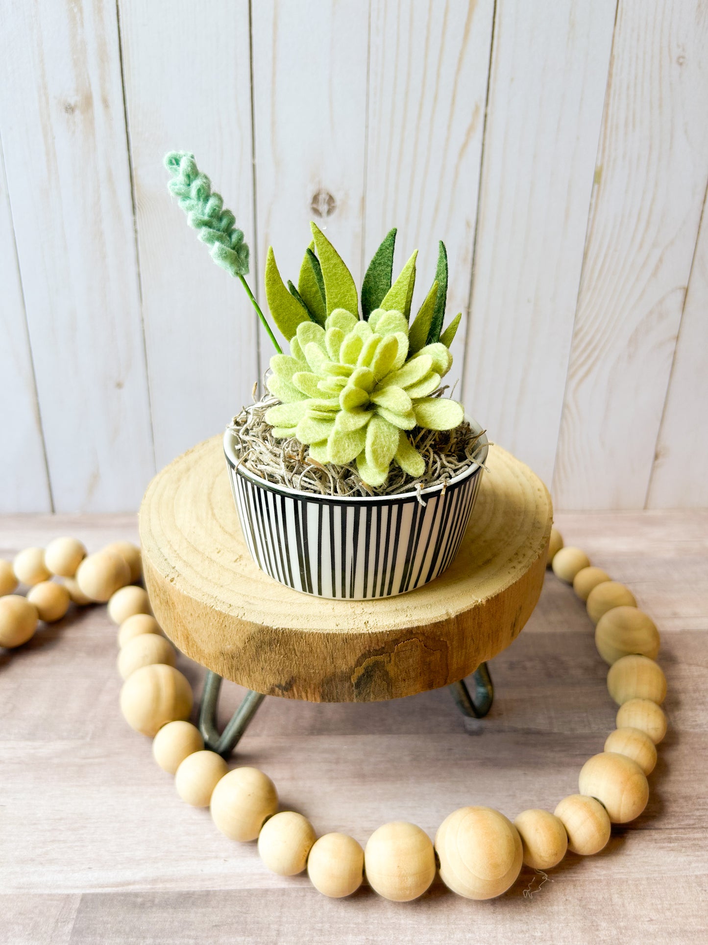 Mini Felt Succulent