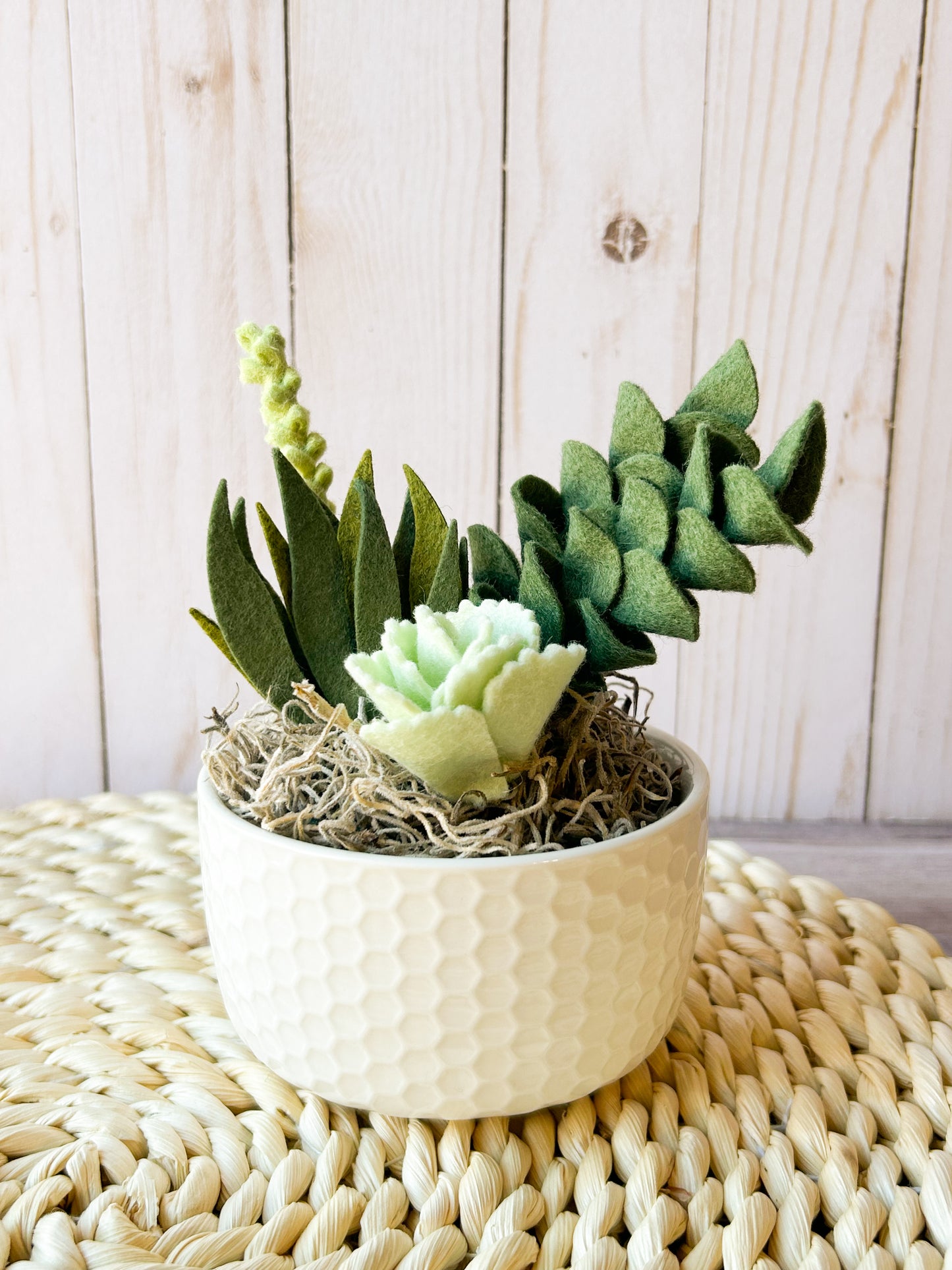 Mini Felt Succulent