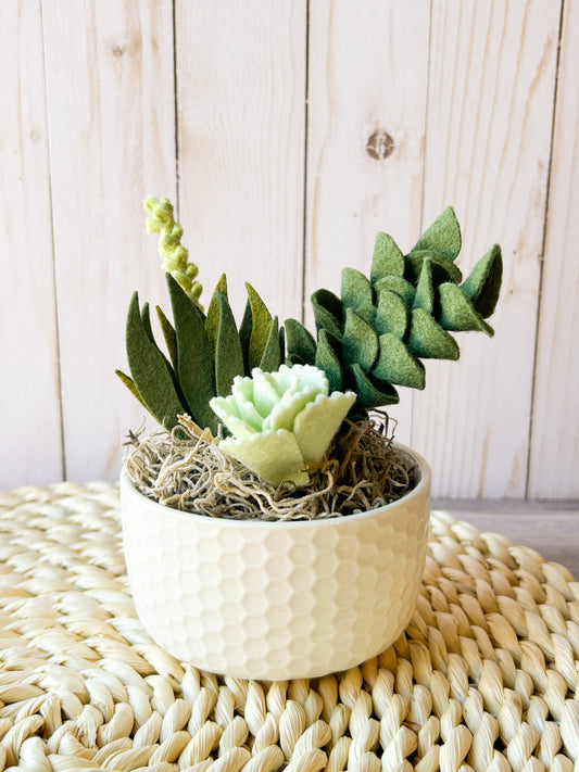 Mini Felt Succulent
