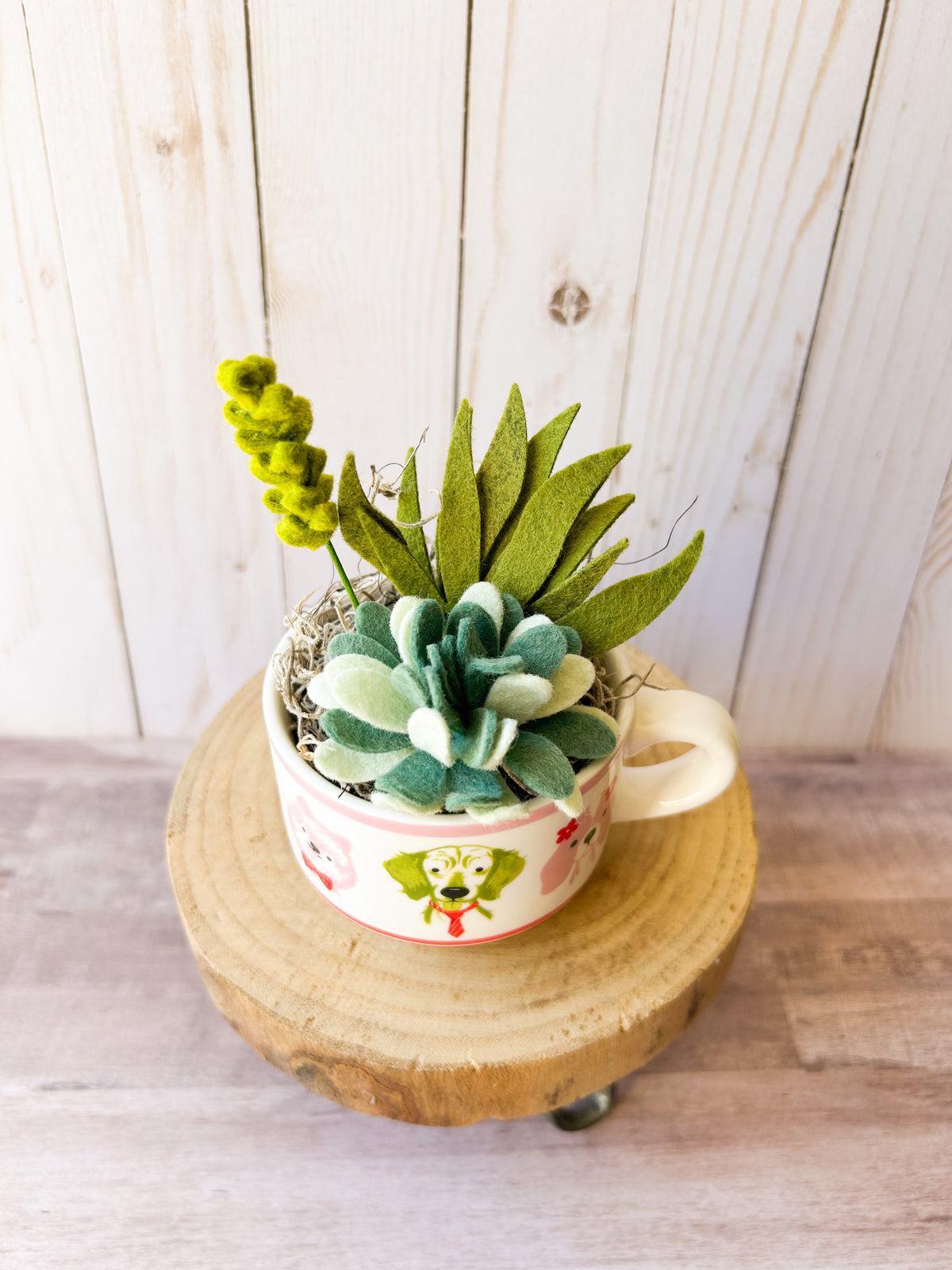 Felt Succulent