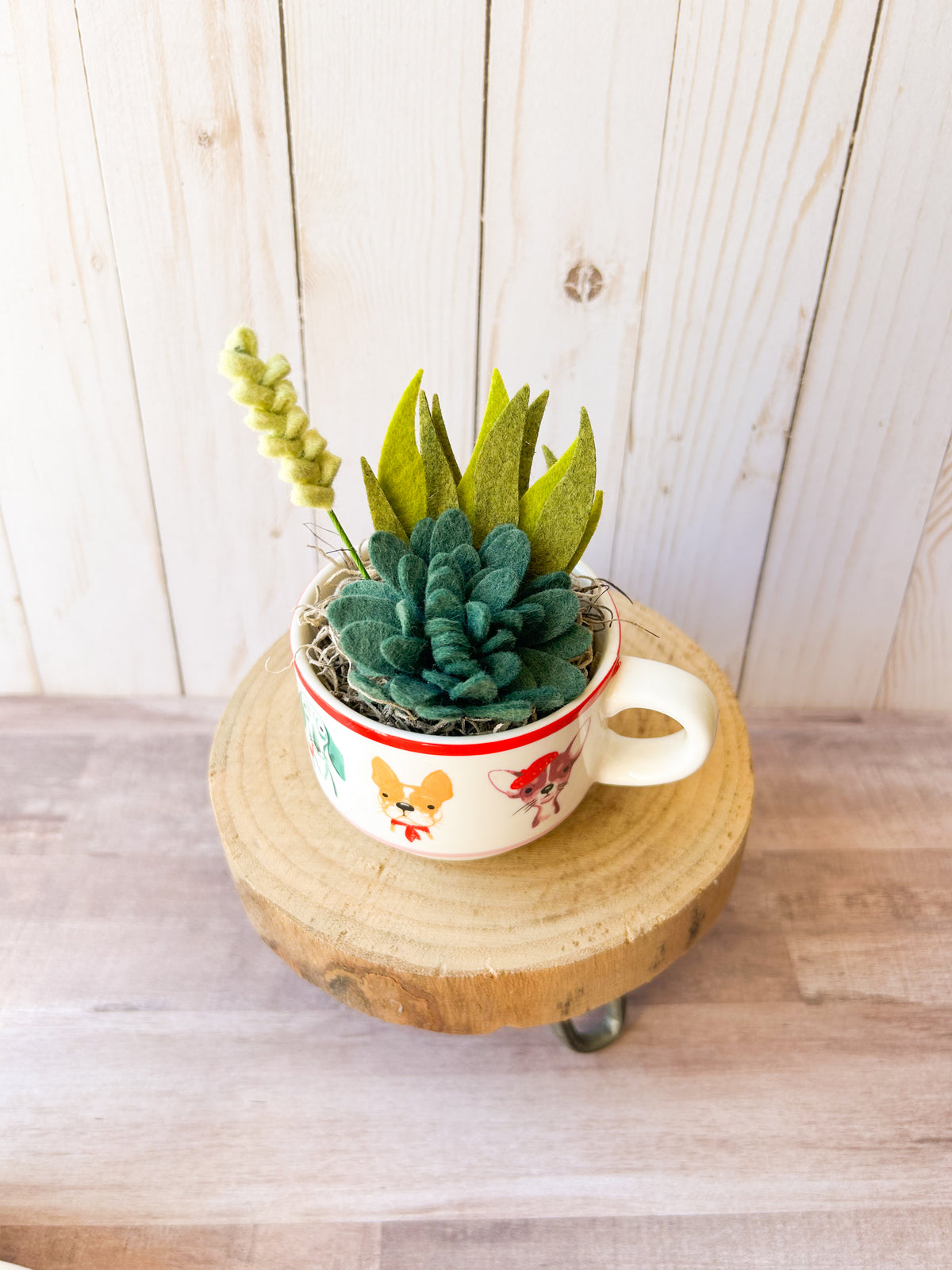 Felt Succulent