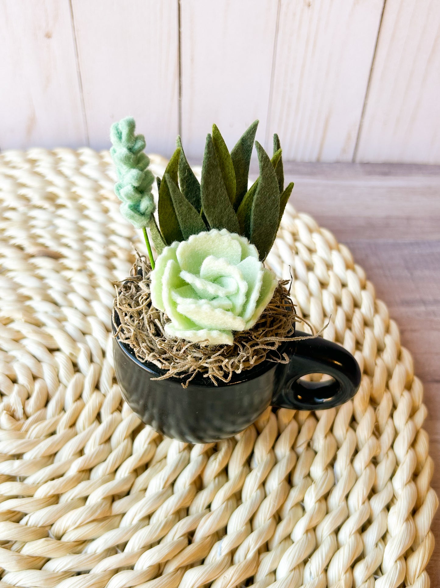 Mini Felt Succulent