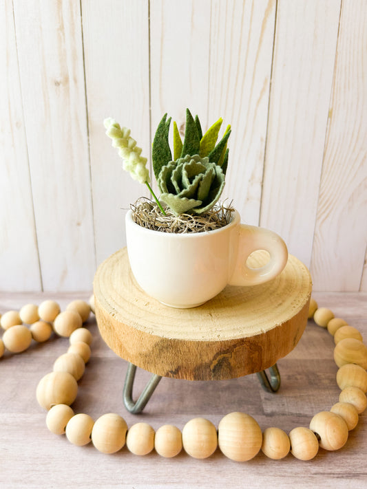 Mini Felt Succulent