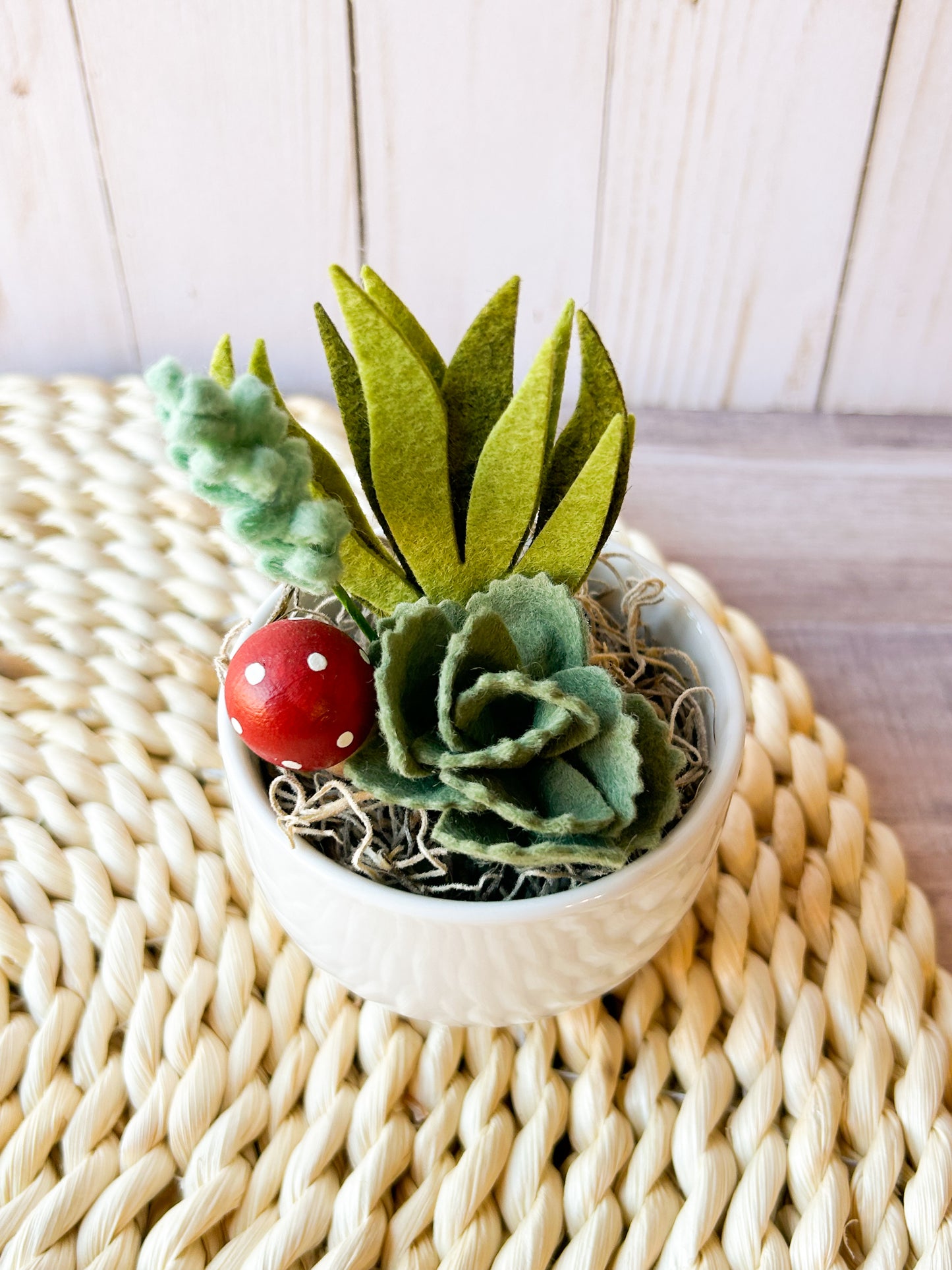 Mini Felt Succulent