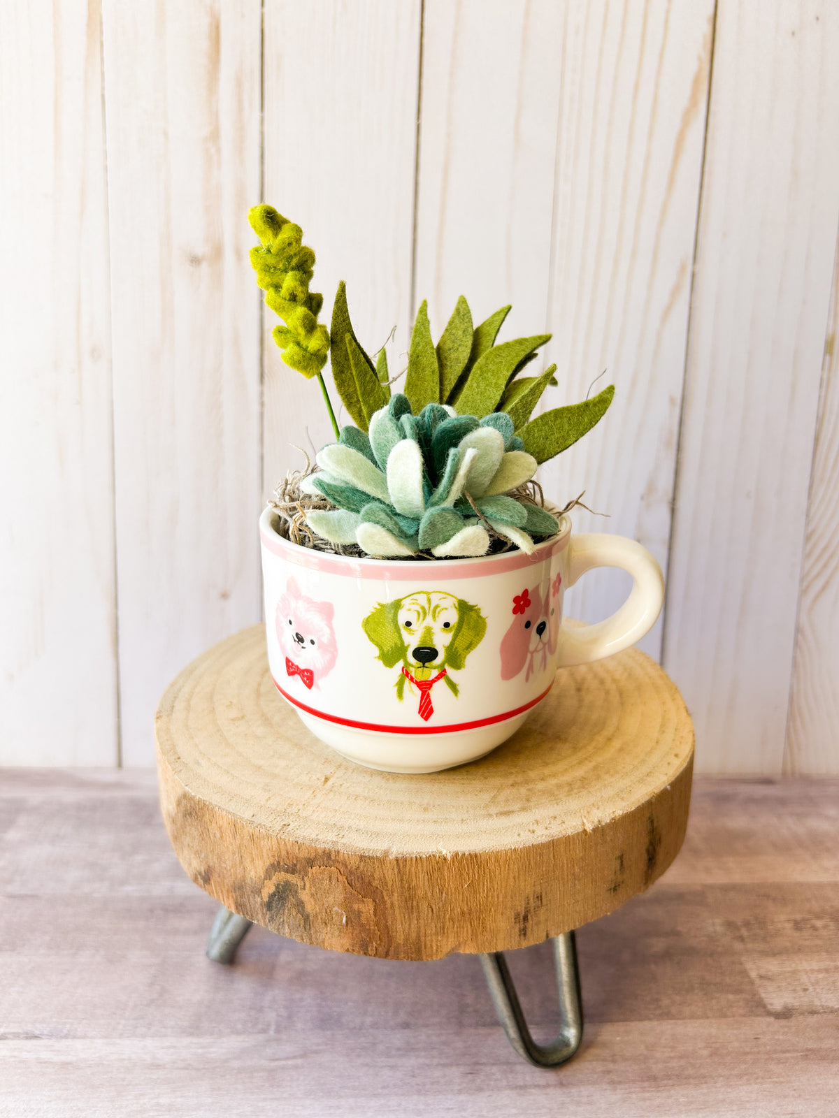 Felt Succulent
