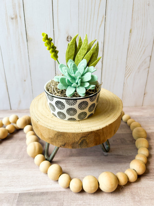 Mini Felt Succulent