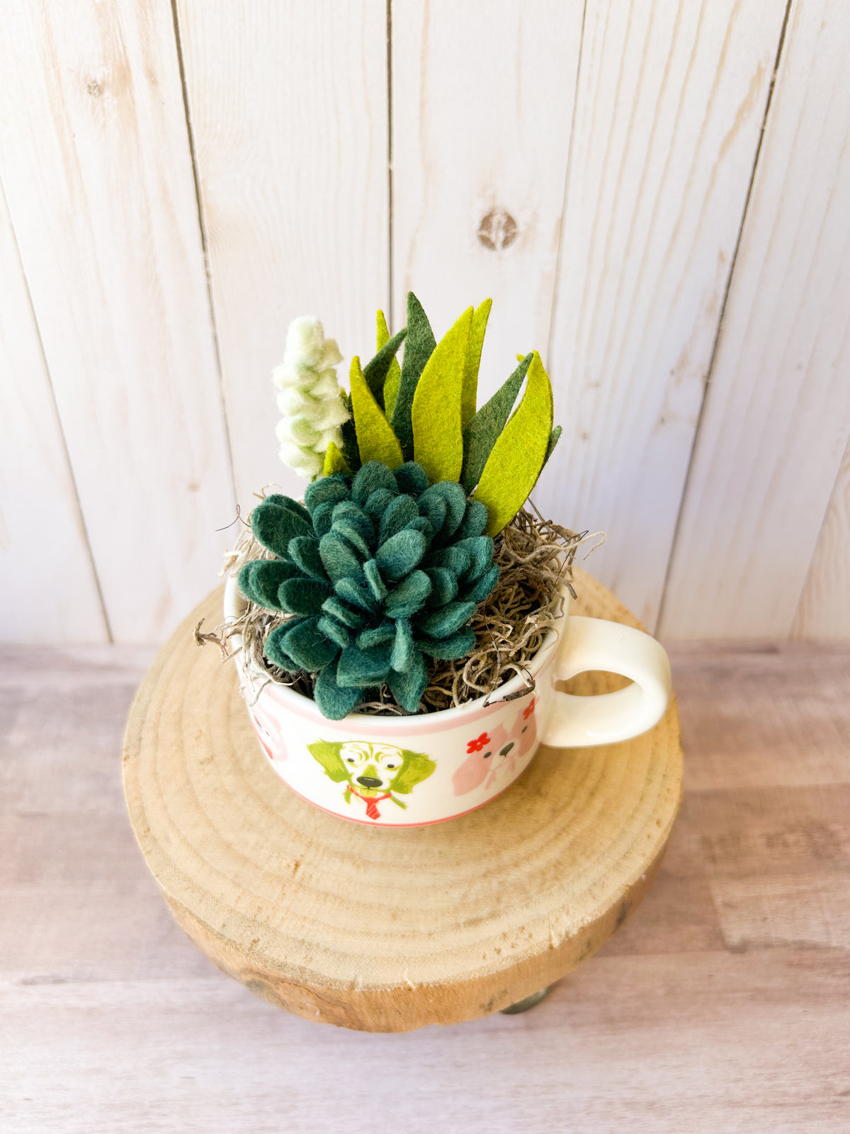 Felt Succulent