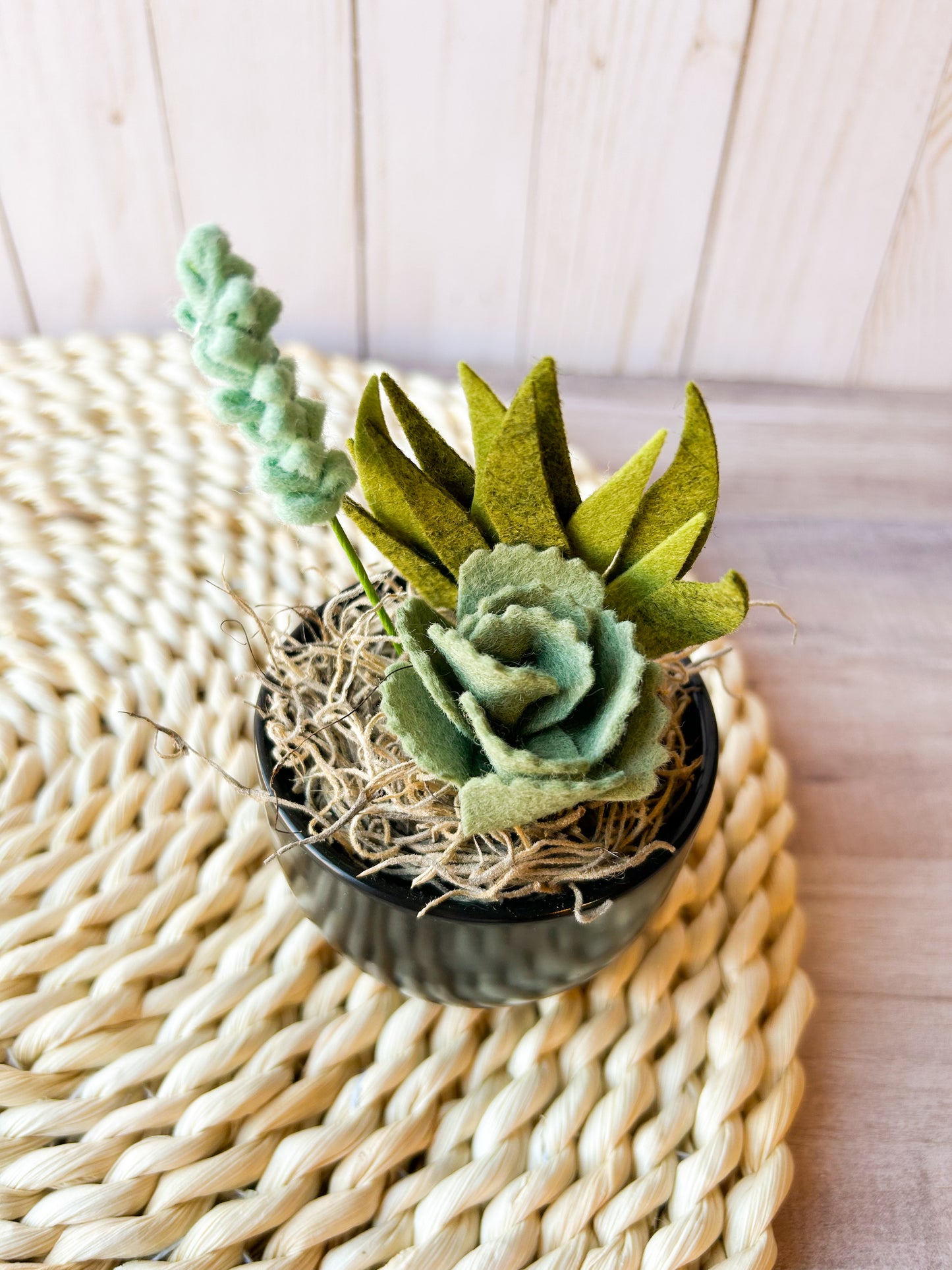 Mini Felt Succulent
