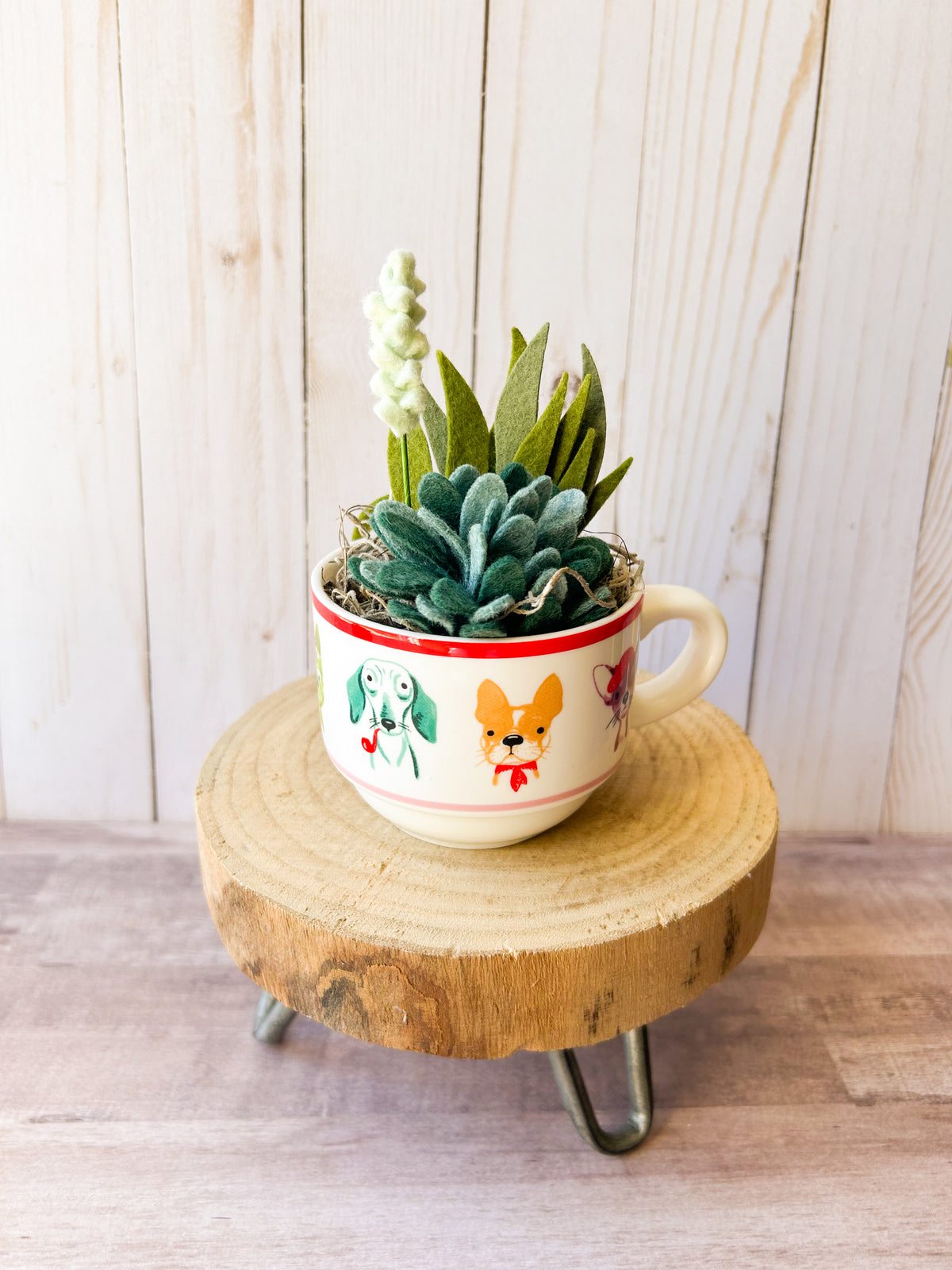 Felt Succulent