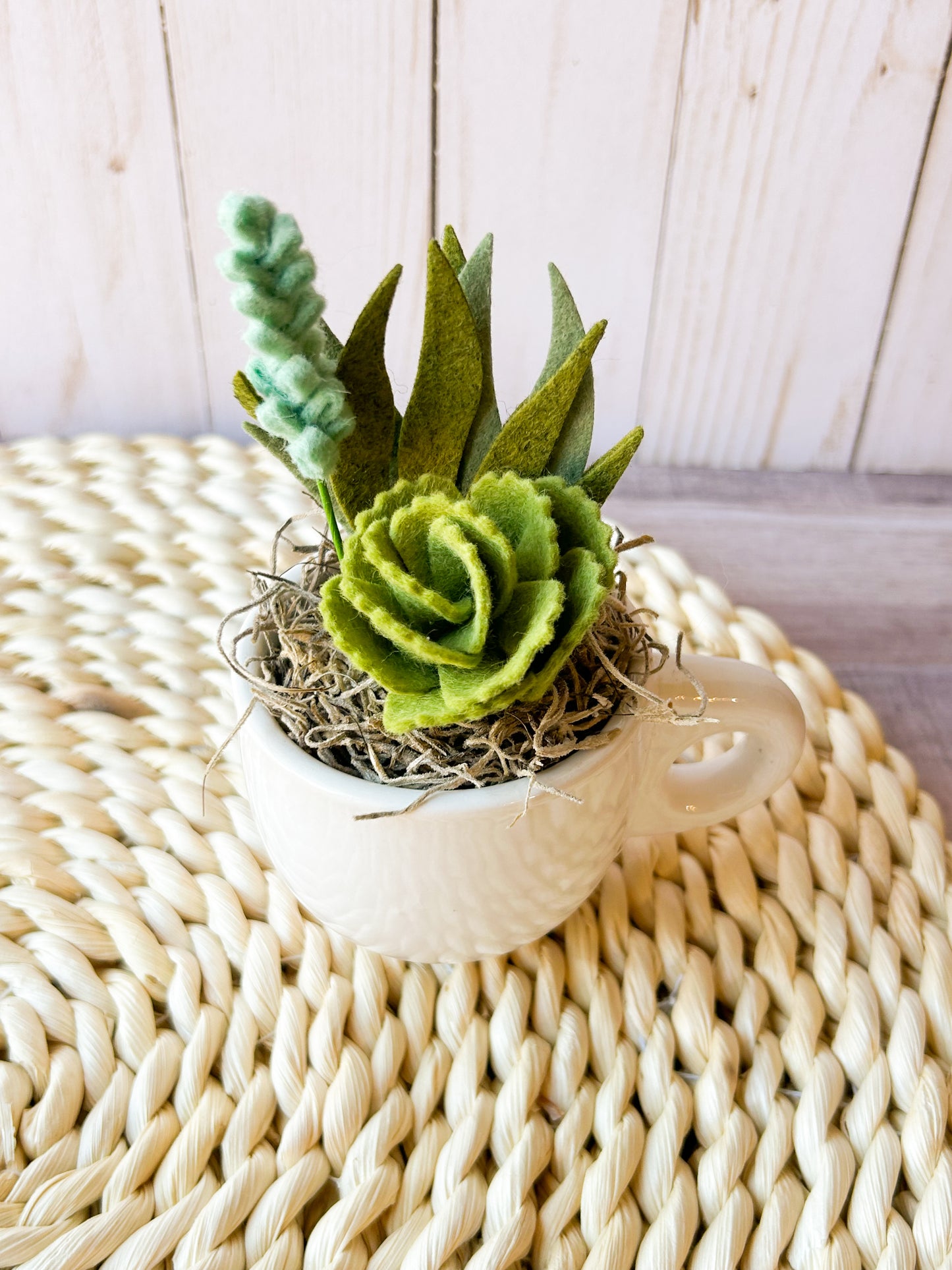 Mini Felt Succulent