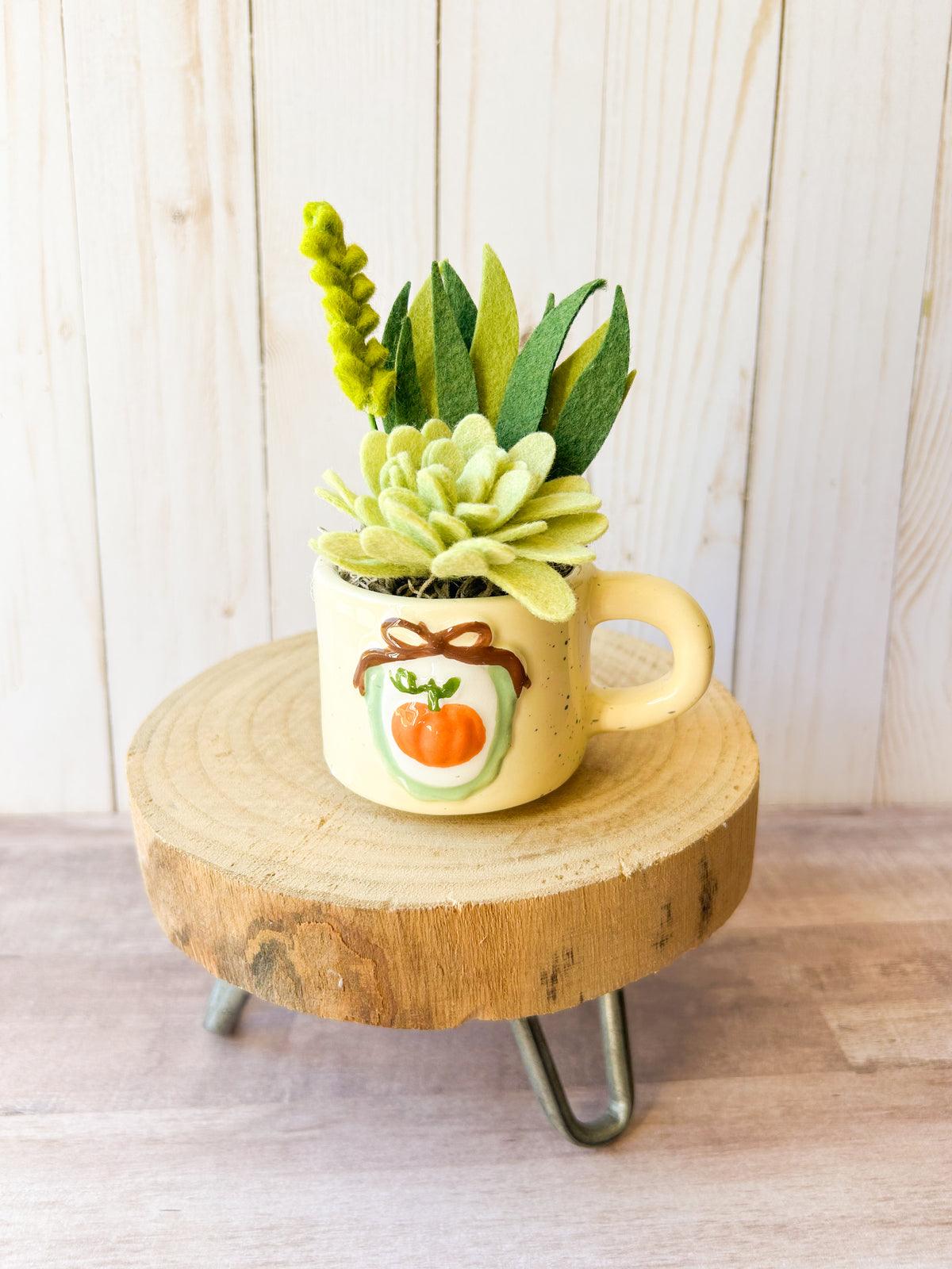 Mini Felt Succulent