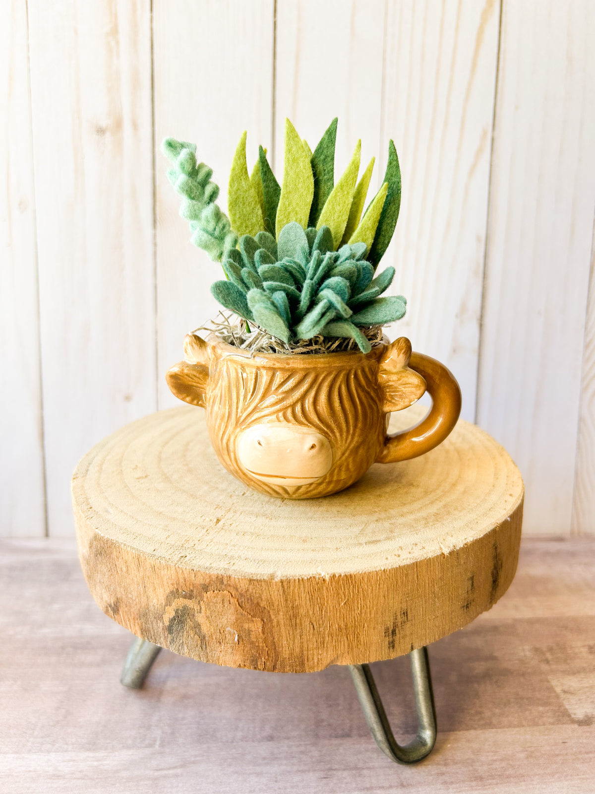 Mini Felt Succulent