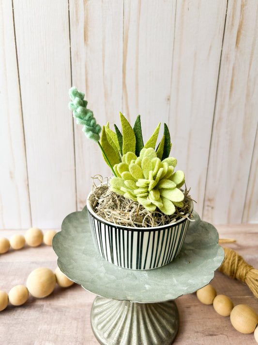 Mini Felt Succulent