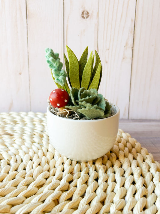 Mini Felt Succulent