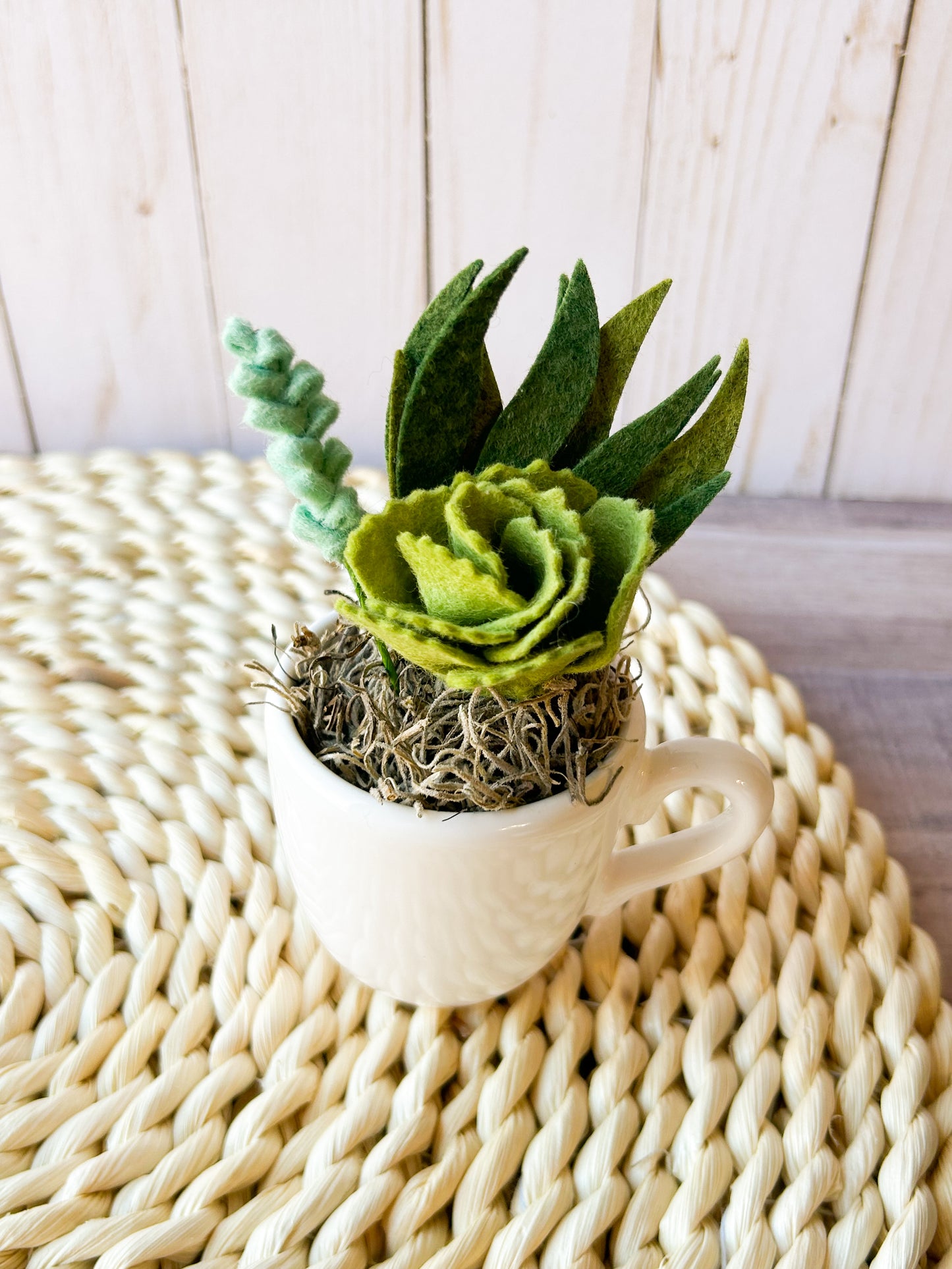 Mini Felt Succulent