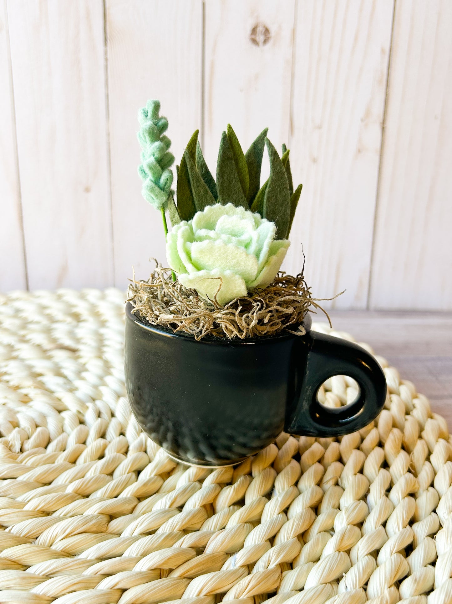 Mini Felt Succulent