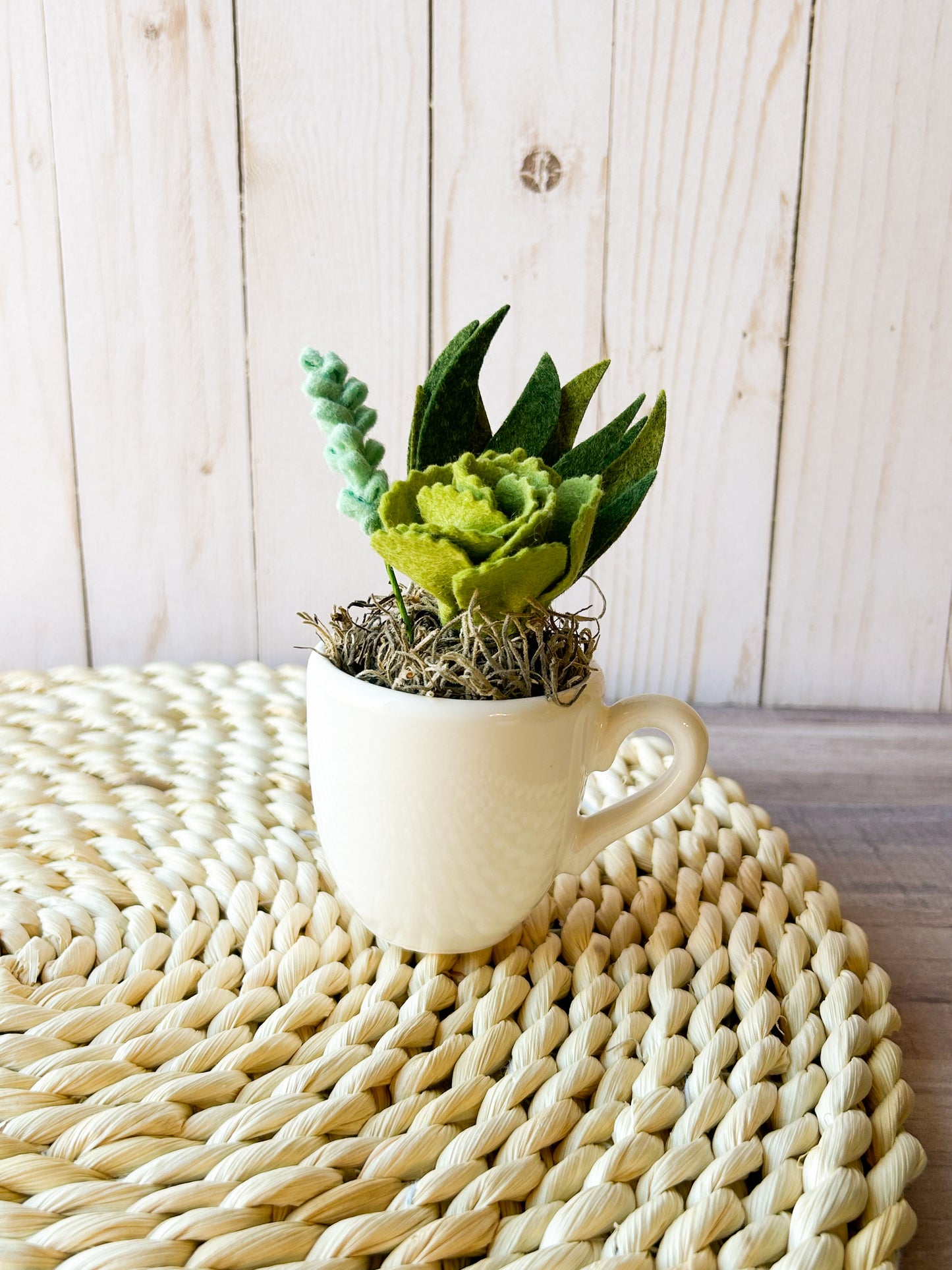 Mini Felt Succulent