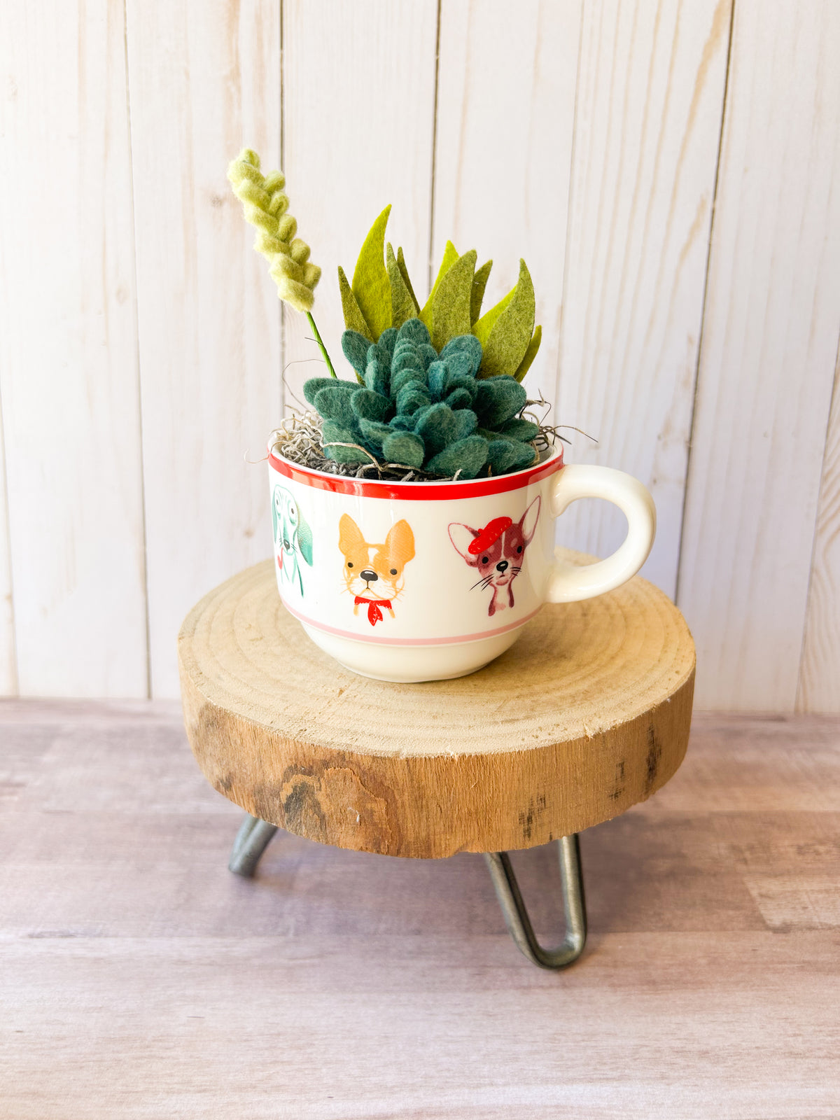 Felt Succulent