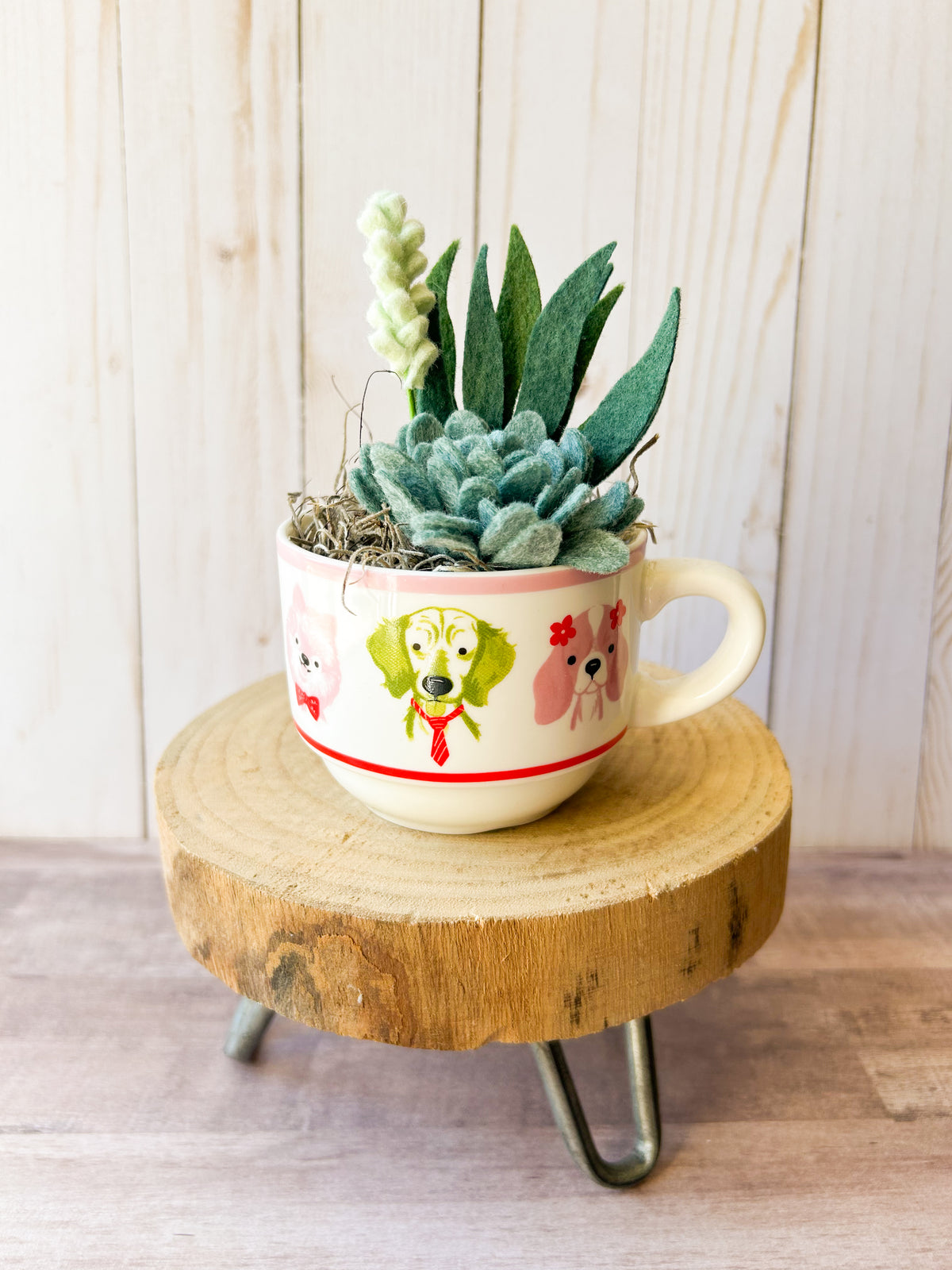 Felt Succulent