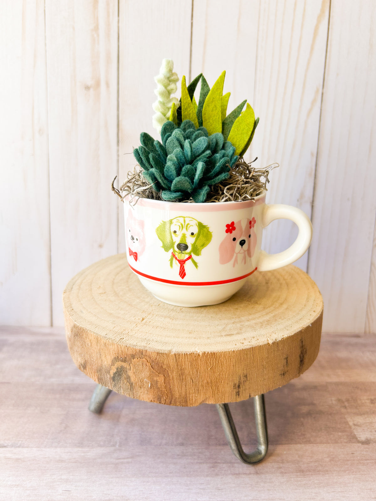 Felt Succulent