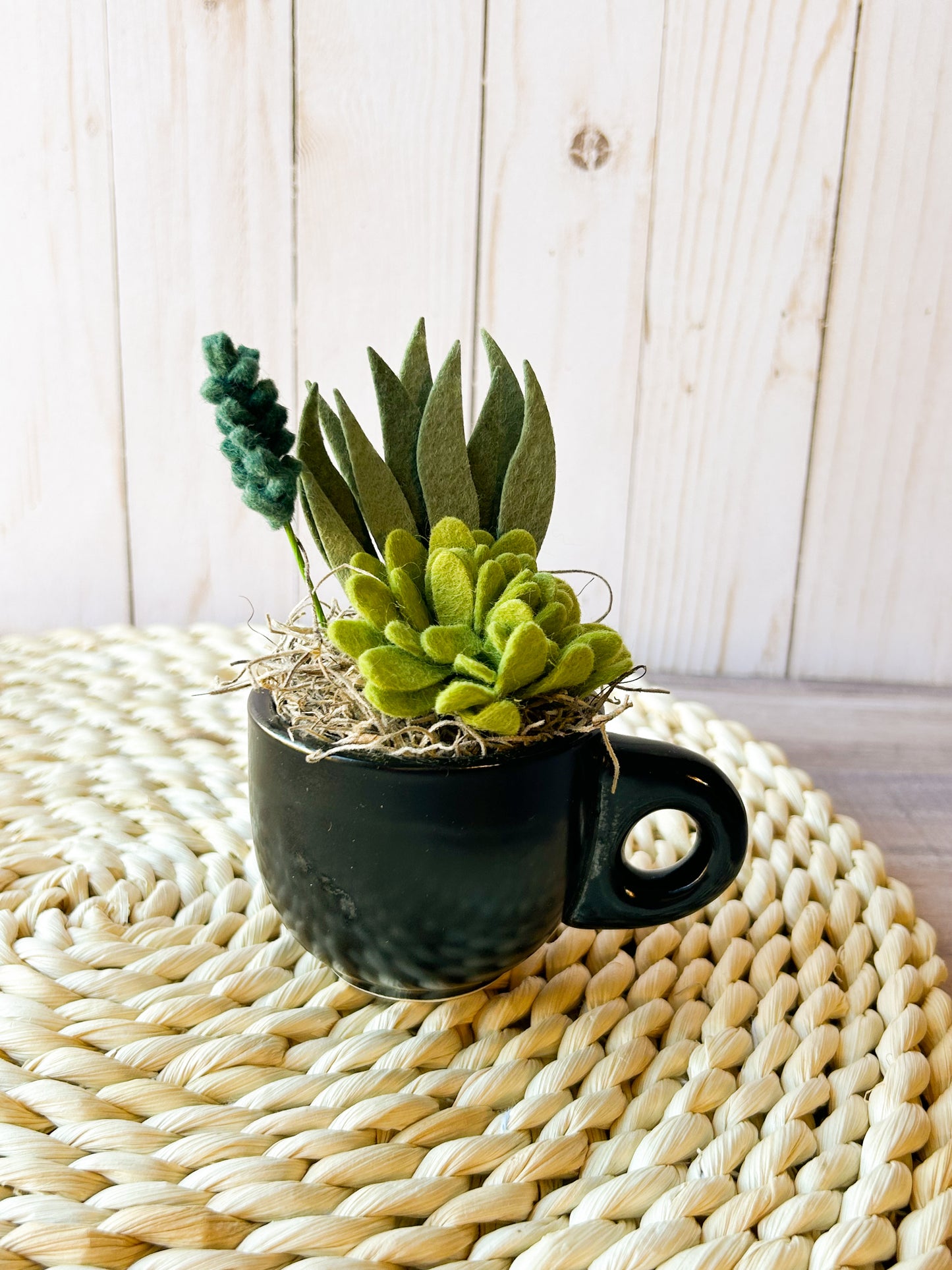 Mini Felt Succulent