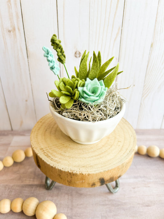 White Bowl Felt Succulent