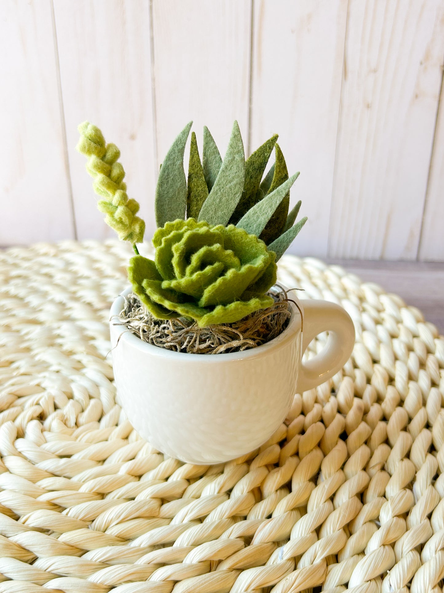 Mini Felt Succulent