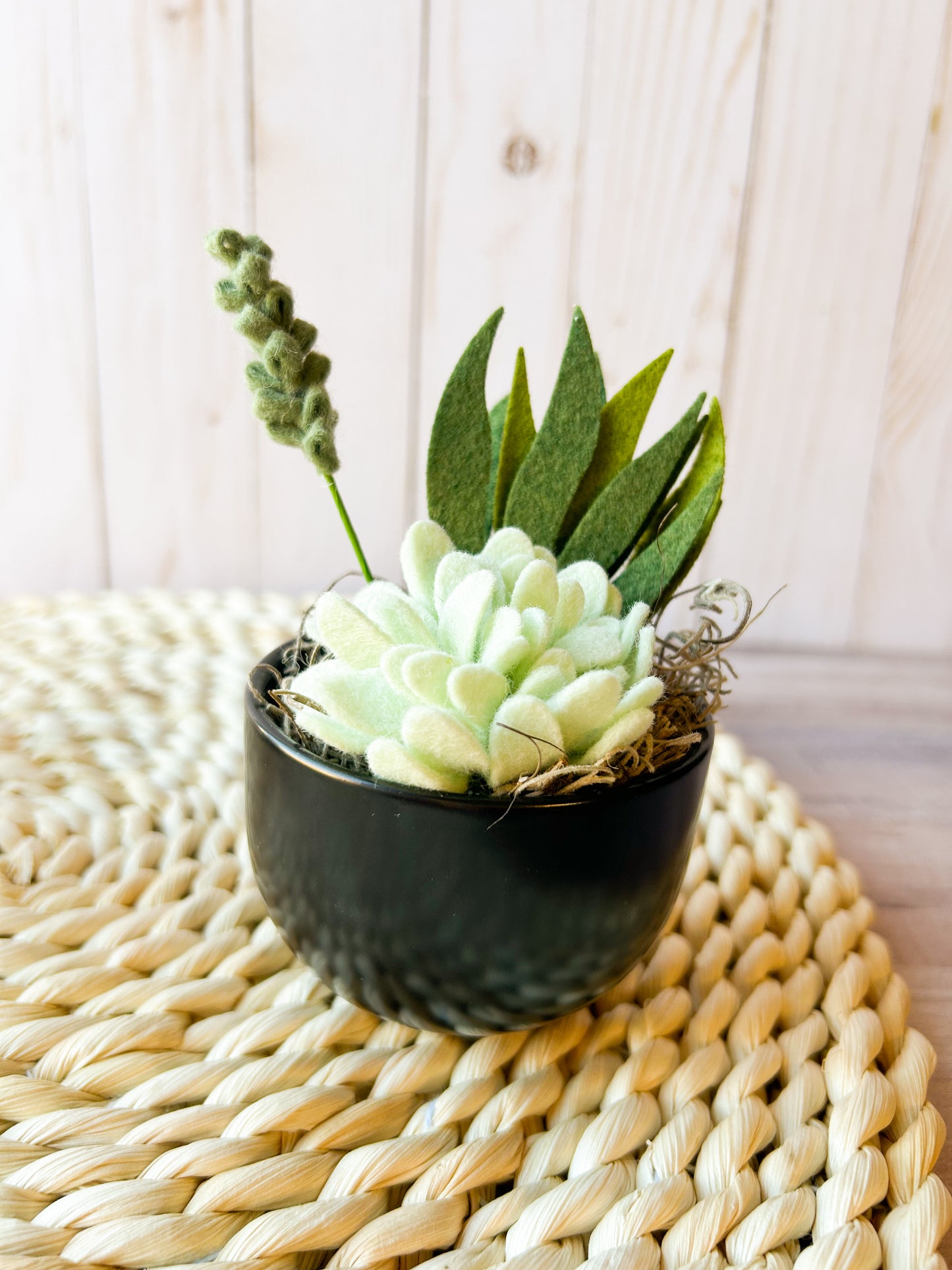 Mini Felt Succulent