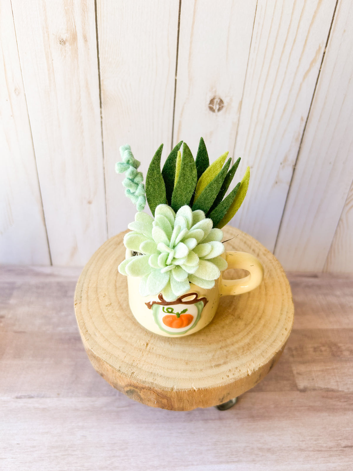 Mini Felt Succulent