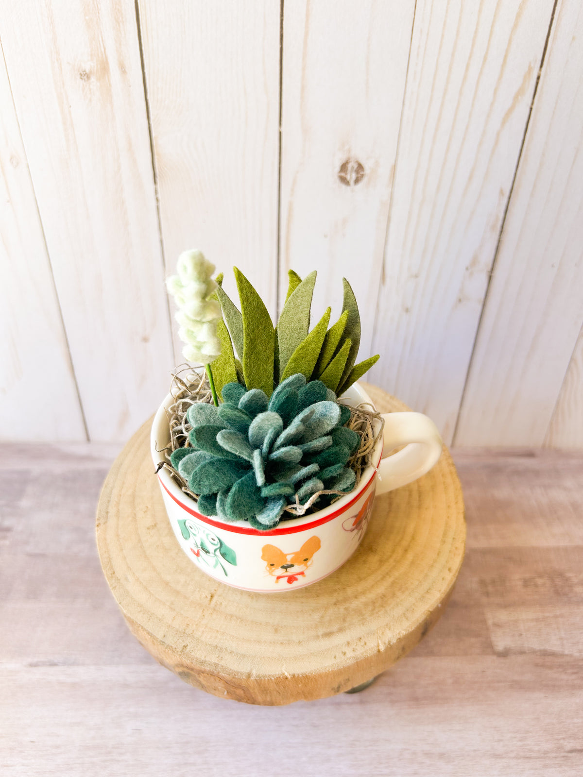 Felt Succulent