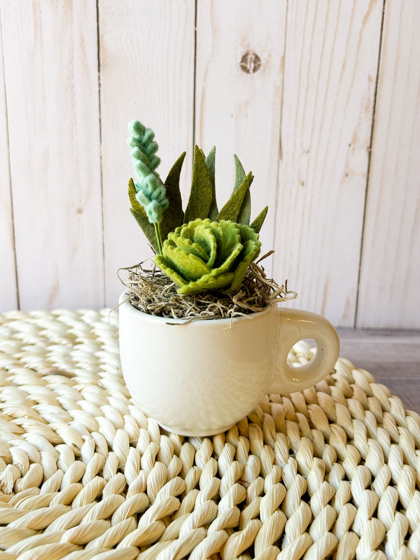 Mini Felt Succulent