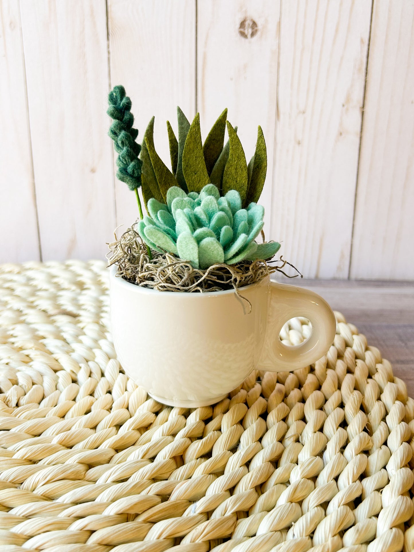 Mini Felt Succulent