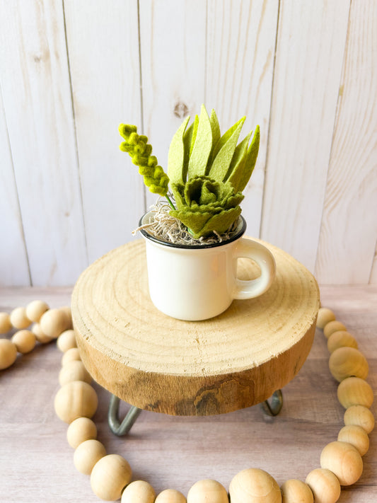 Mini Felt Succulent