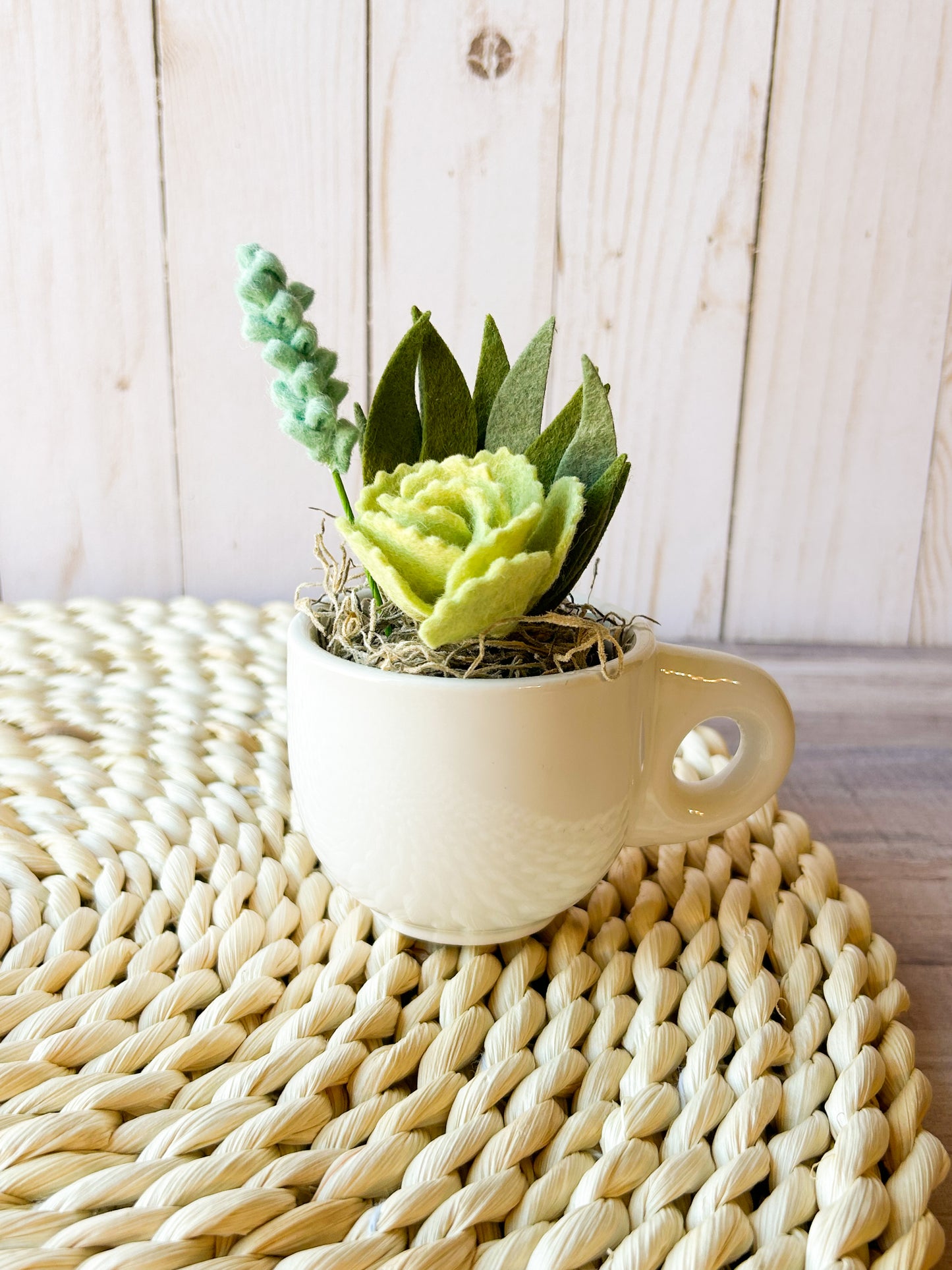 Mini Felt Succulent