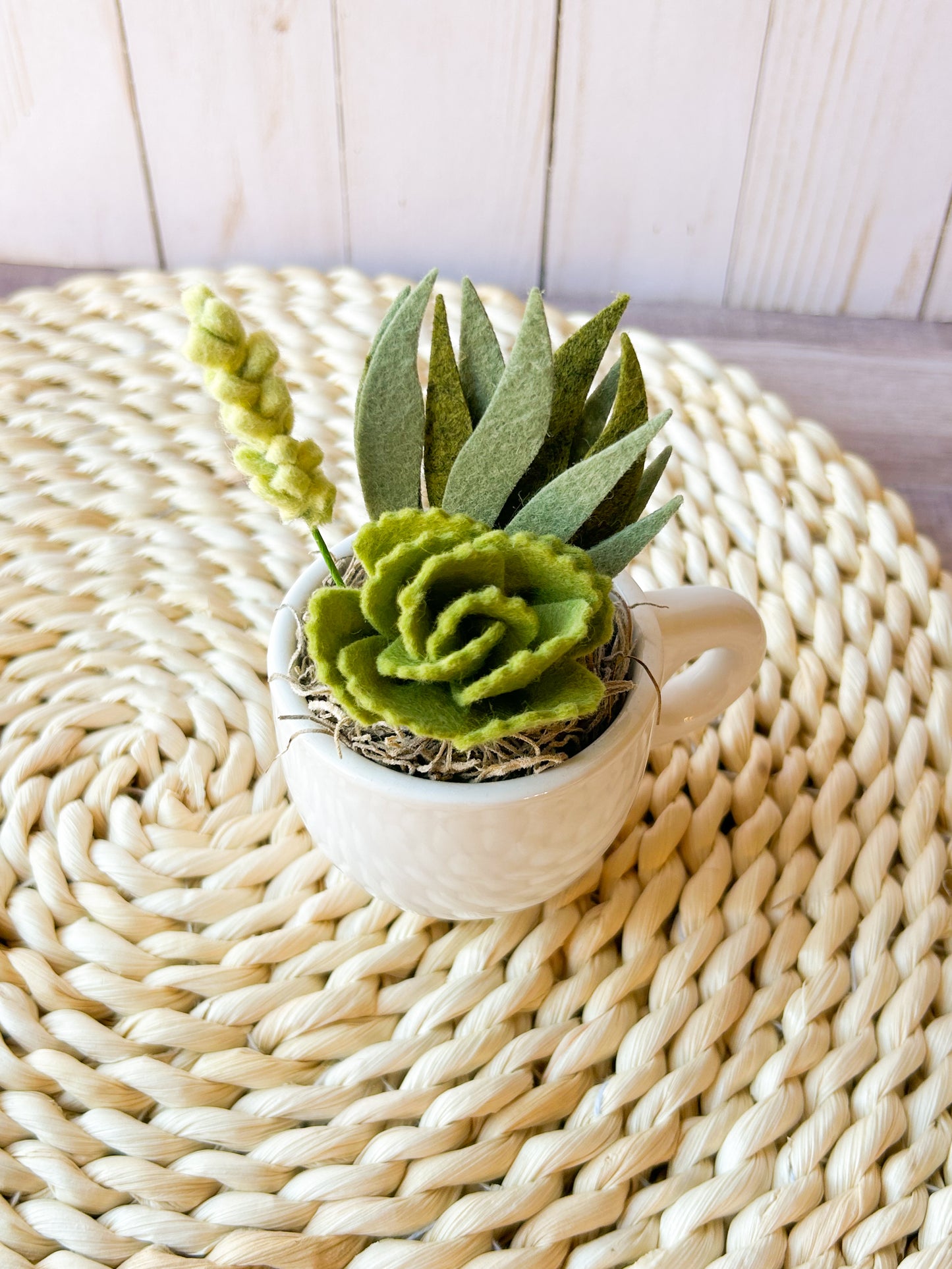 Mini Felt Succulent