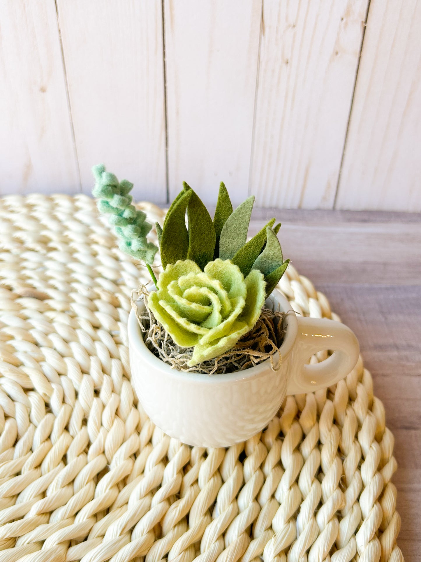 Mini Felt Succulent