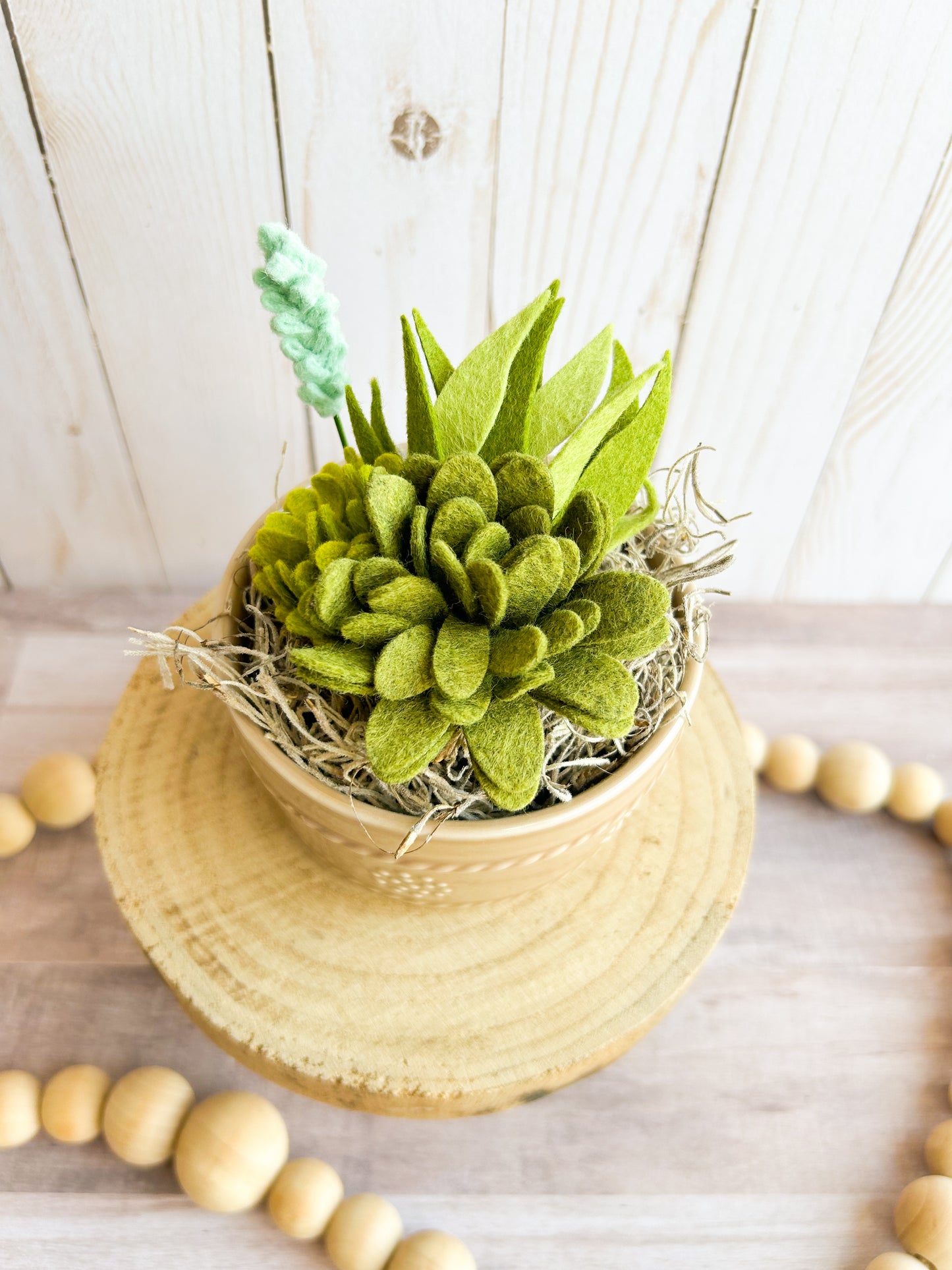 Brown Crock Felt Succulent