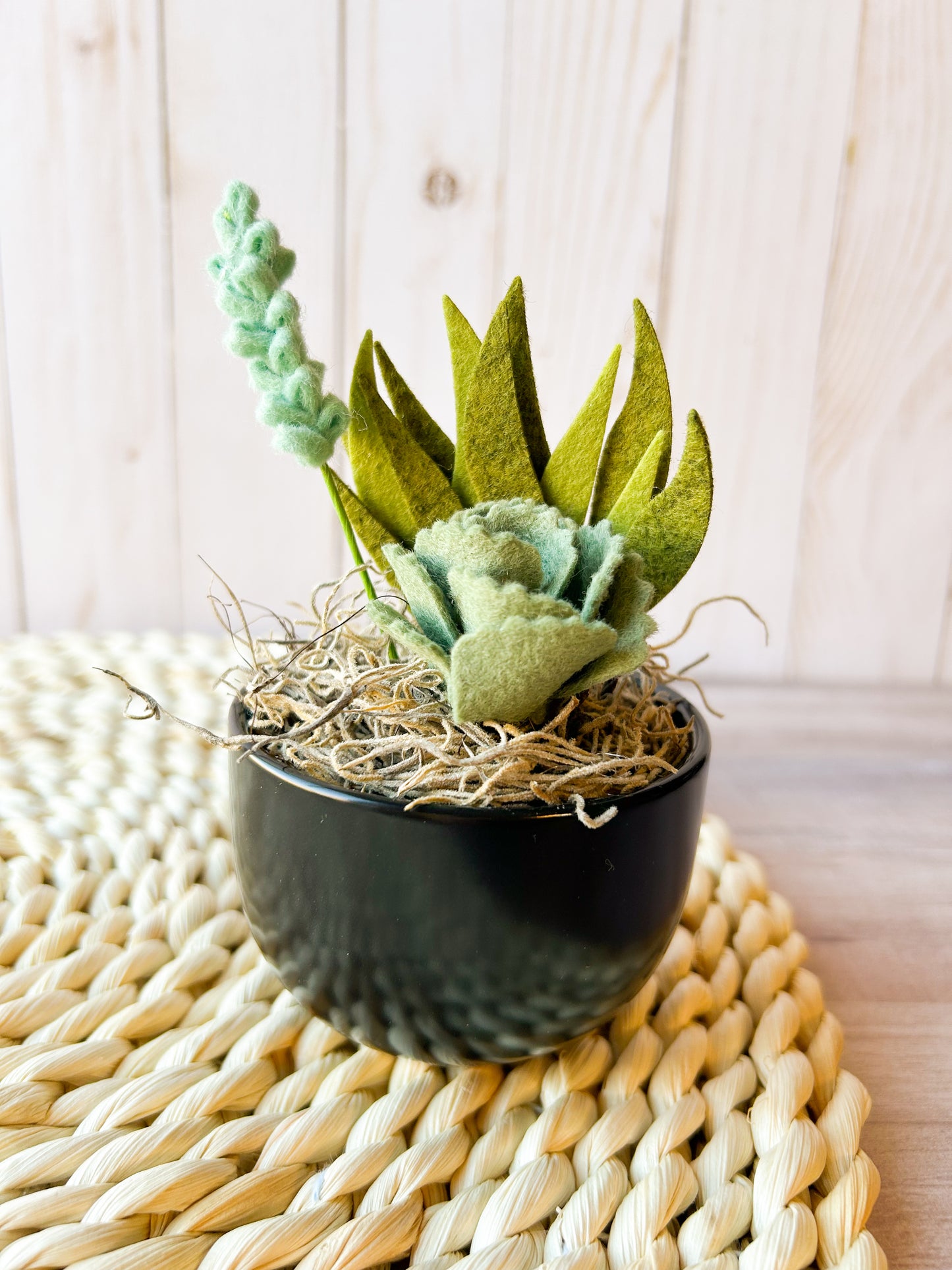 Mini Felt Succulent